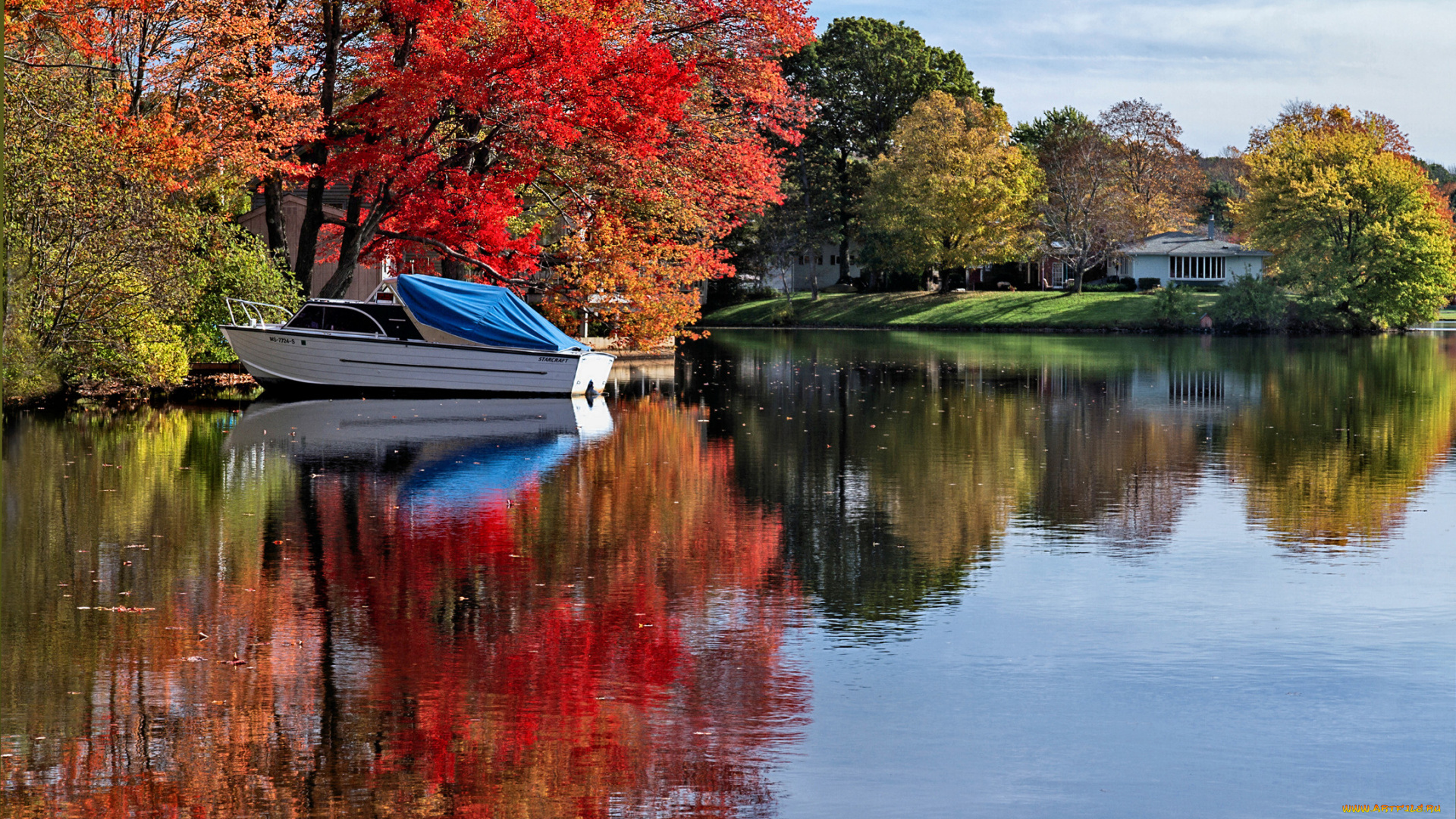 природа, реки, озера, деревья, озеро