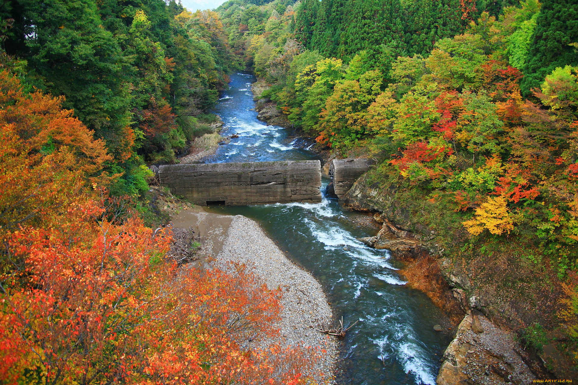 природа, реки, озера, камни, вода, лес