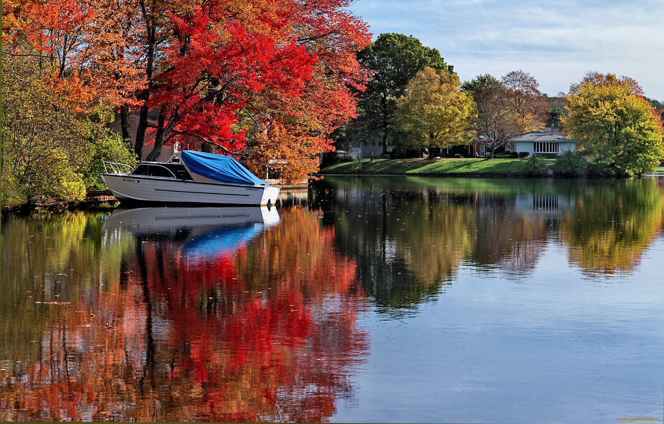 природа, реки, озера, деревья, озеро