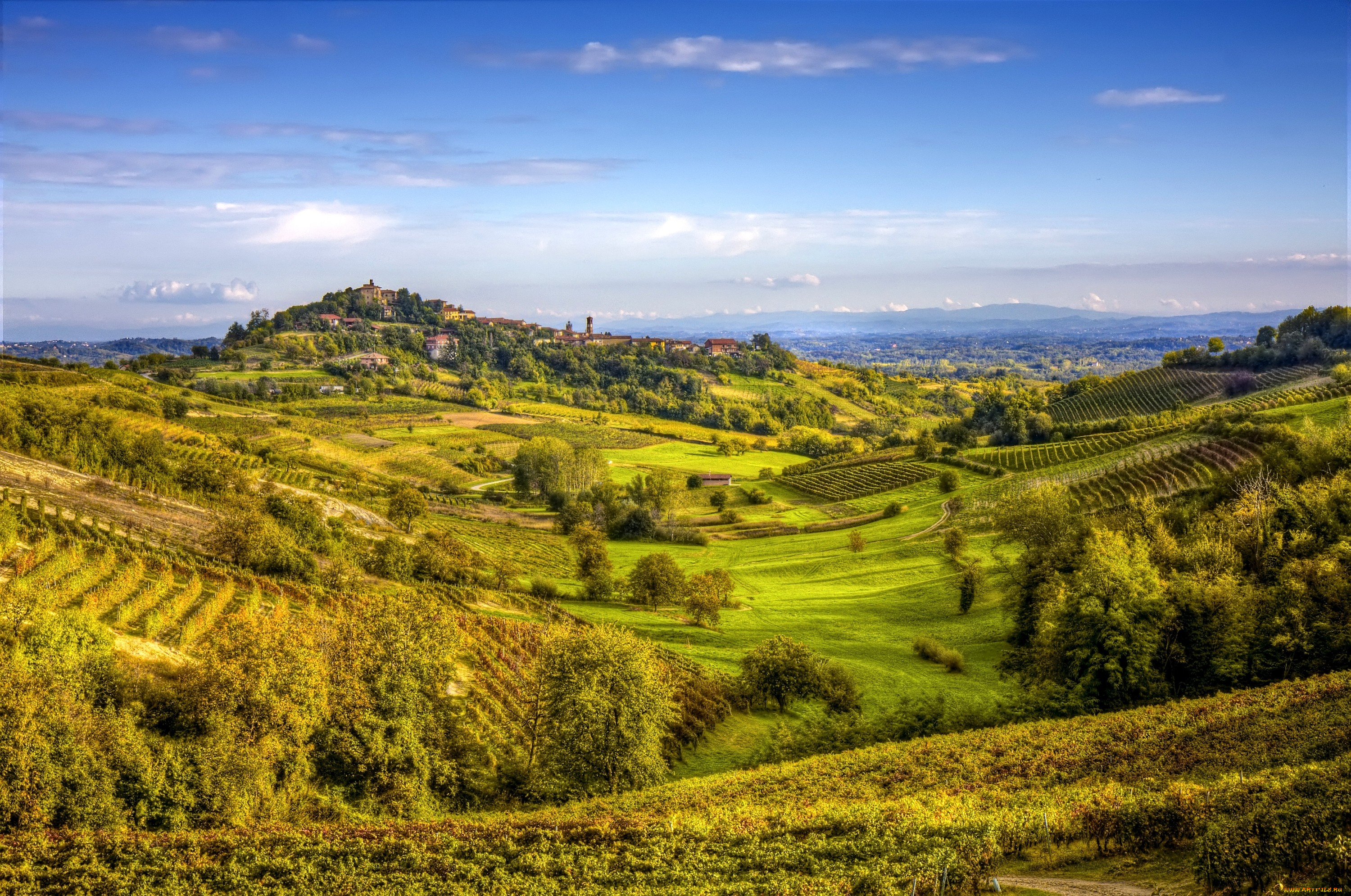 природа, поля, холмы, виноградники