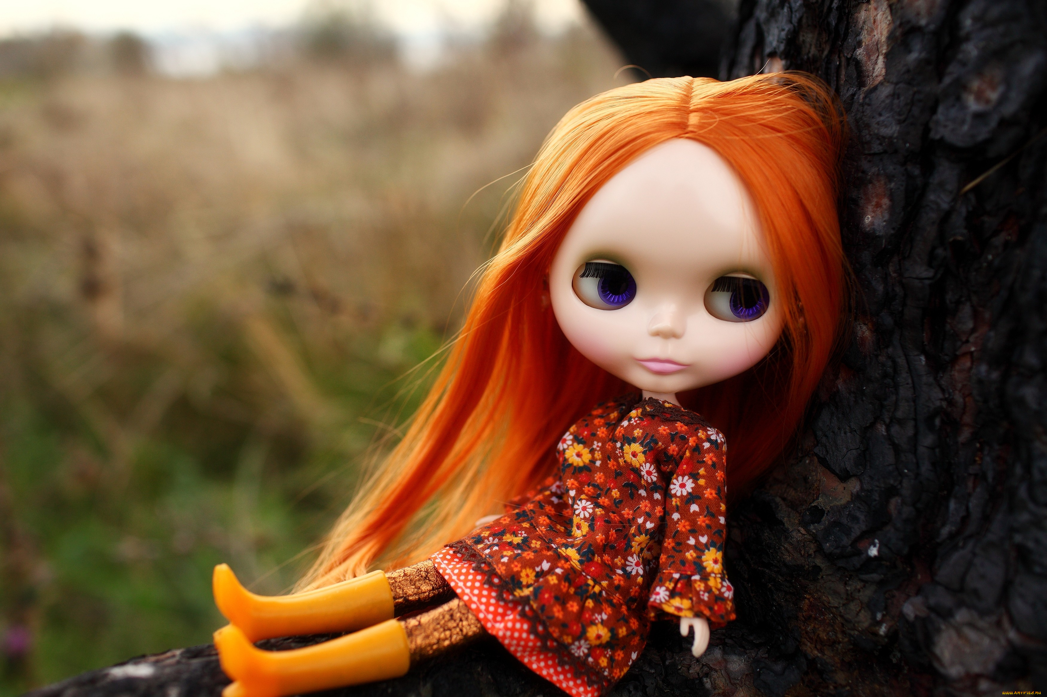 разное, игрушки, рыжеволосая, кукла, дерево, сапожки