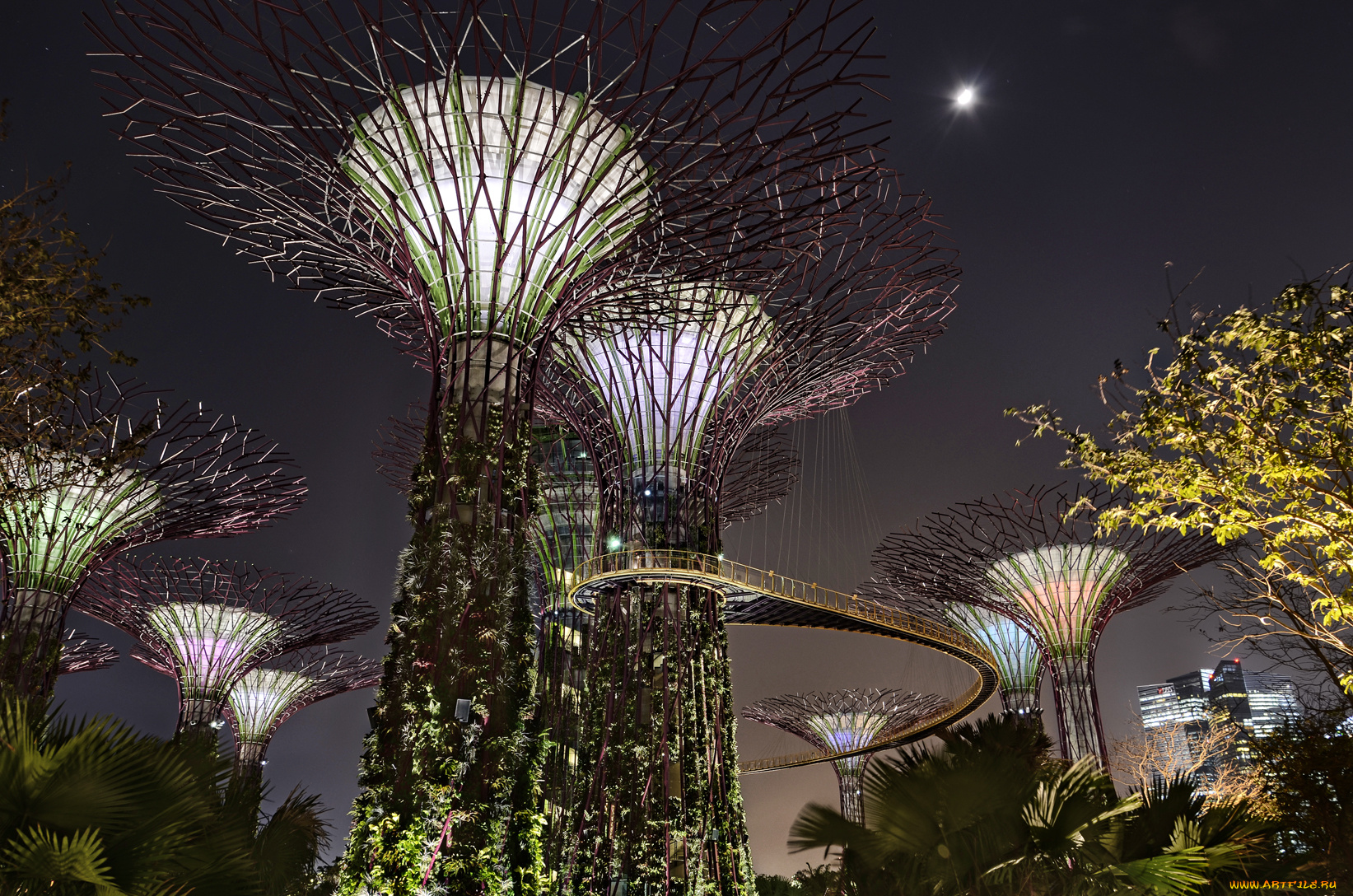 города, сингапур, оригинальный, дизайн, ночь