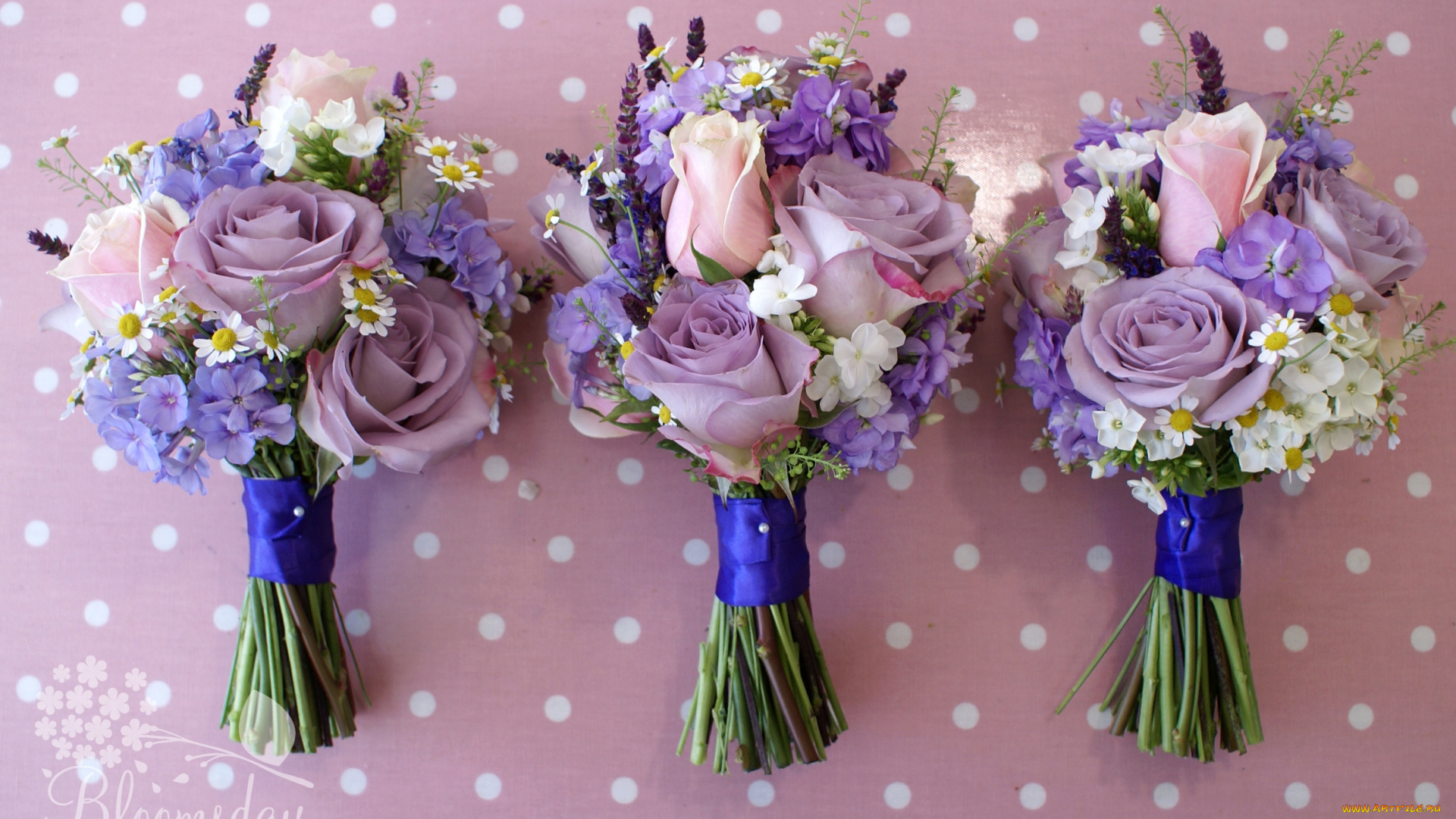 цветы, букеты, композиции, ромашки, флоксы, левкой, розы