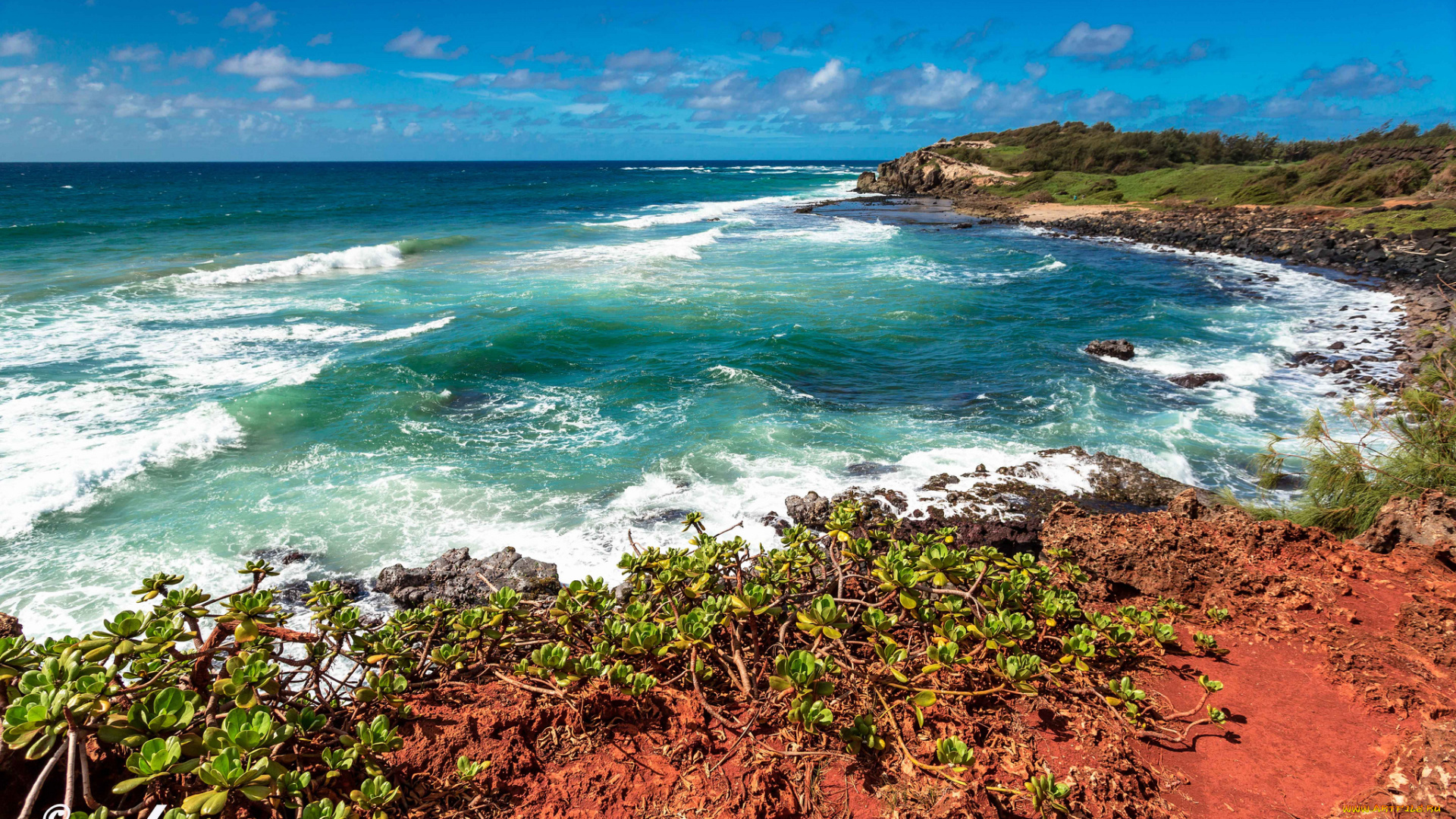 природа, побережье, hdr