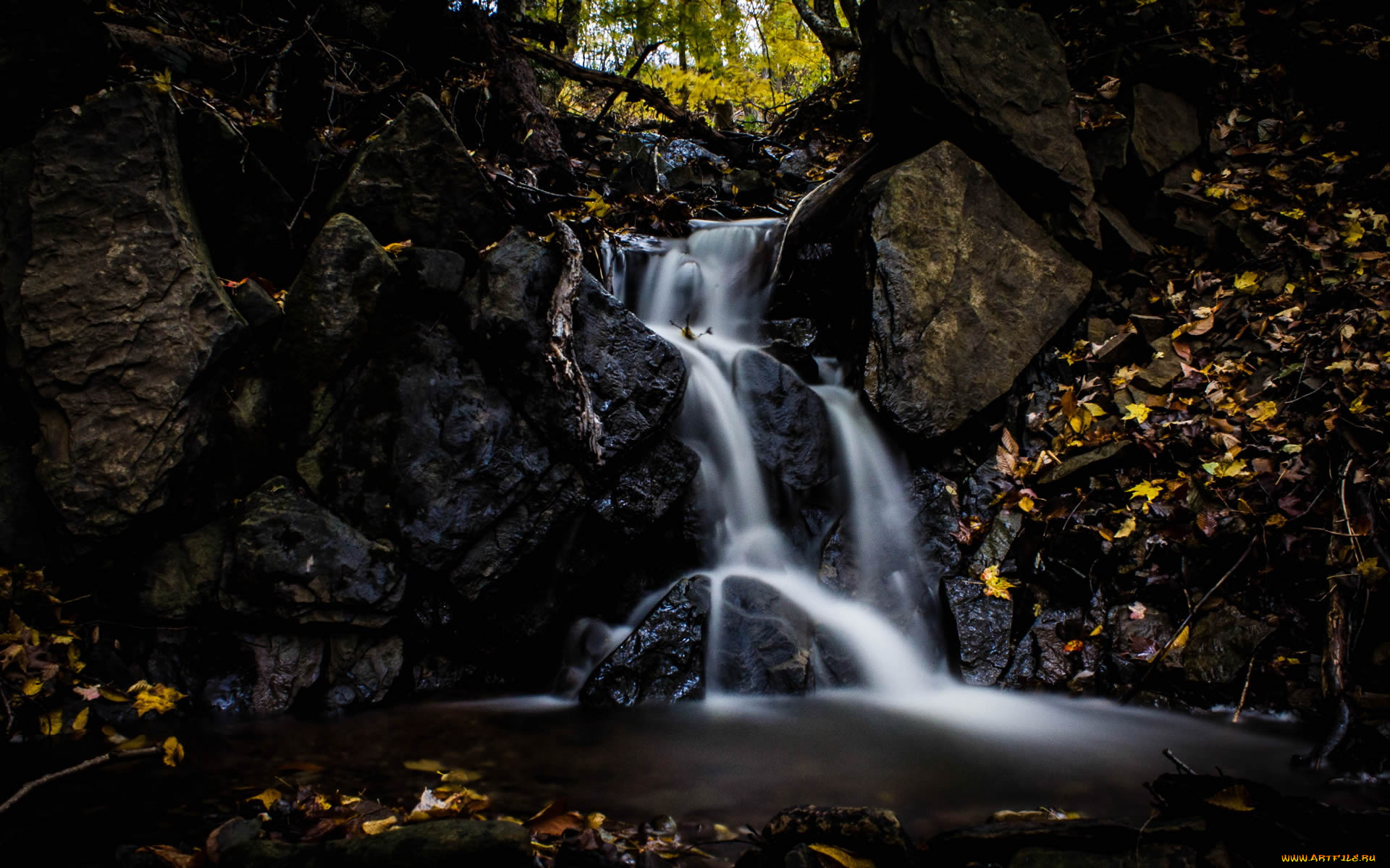 природа, реки, озера, лес, камни, ручей