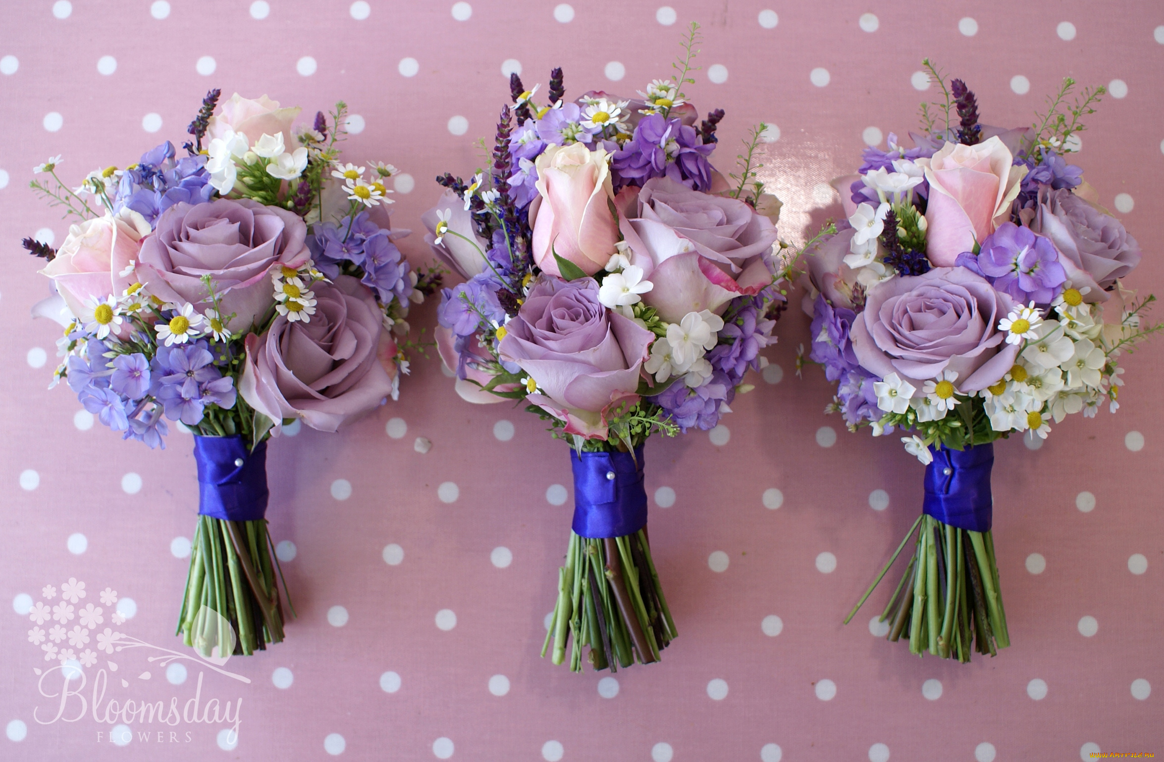 цветы, букеты, композиции, ромашки, флоксы, левкой, розы