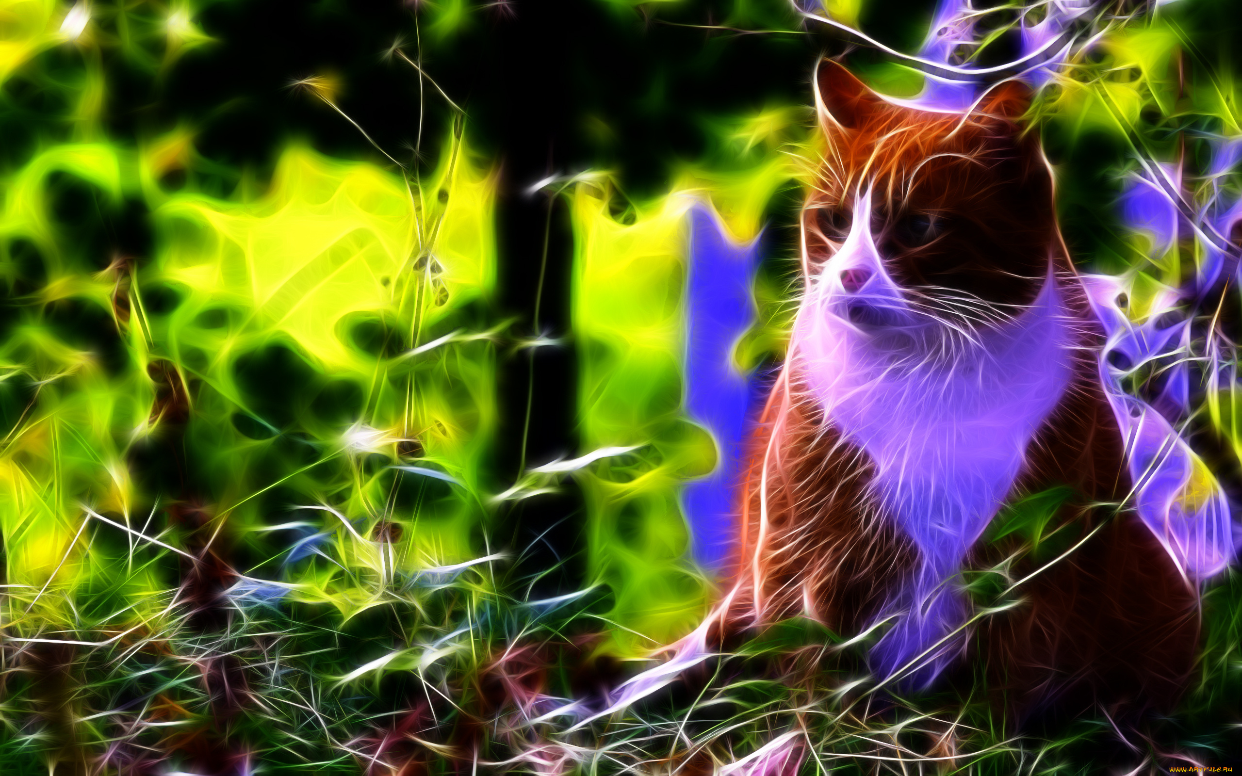 3д, графика, animals, животные, зелень, листья, трава, cat