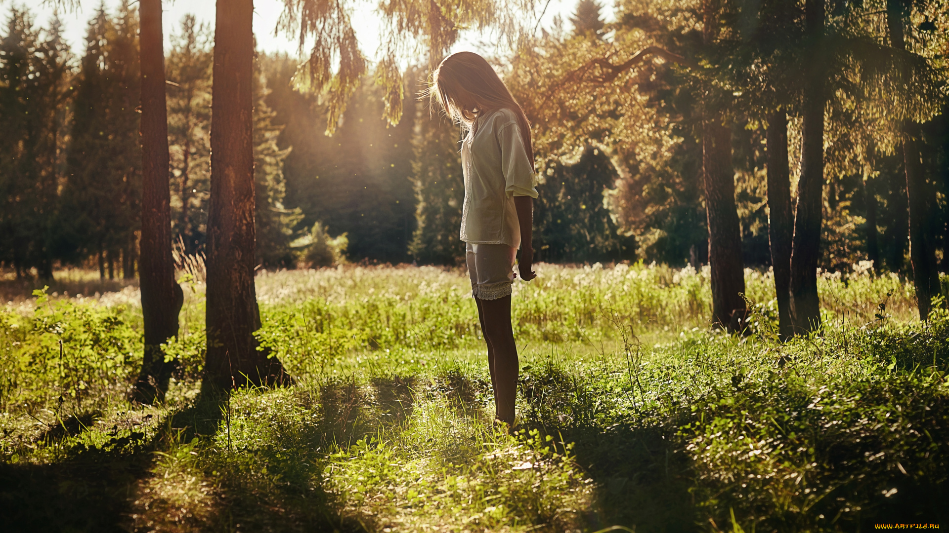 -Unsort, Брюнетки, Шатенки, девушки, unsort, брюнетки, шатенки, трава, деревья