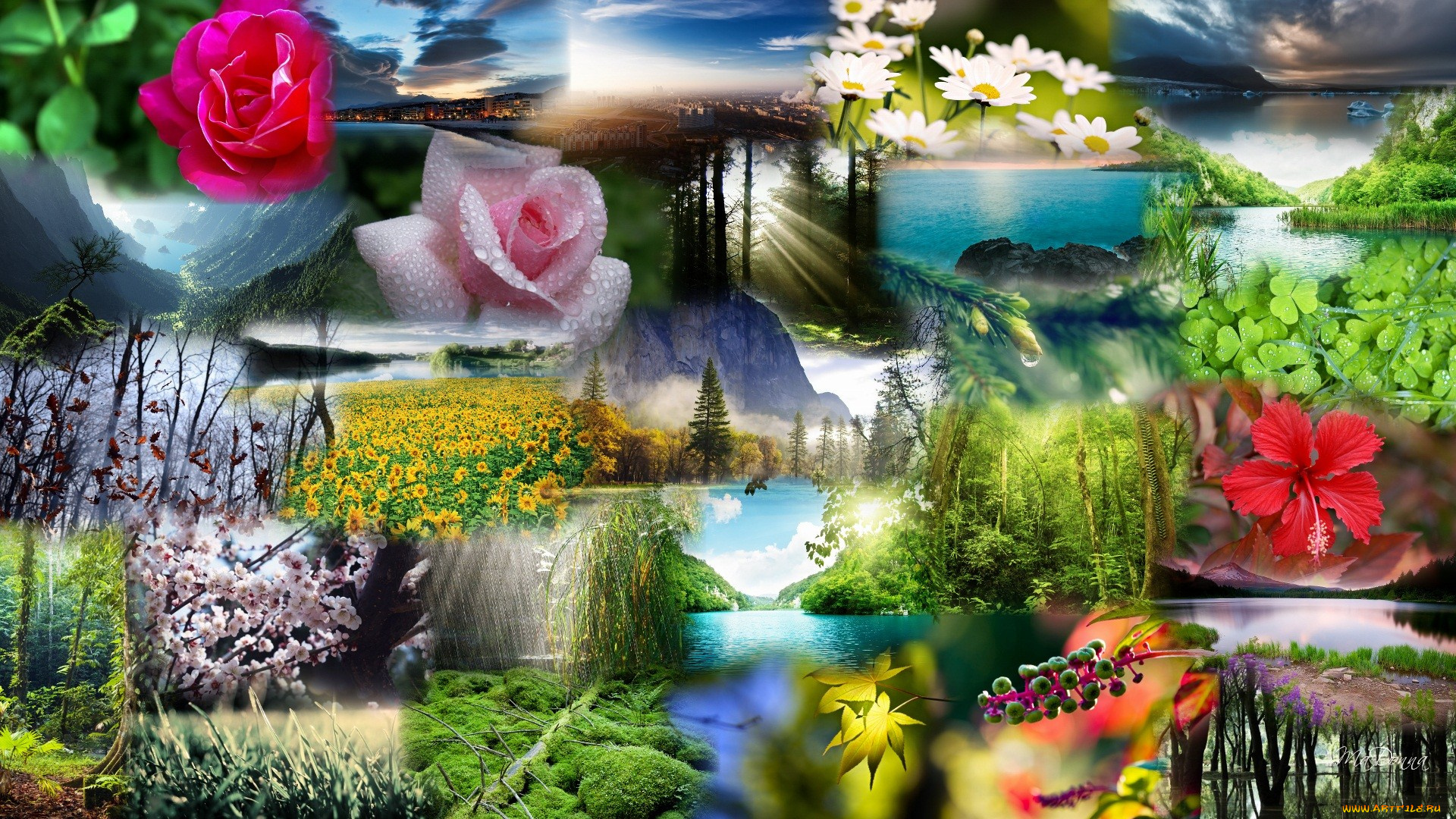 разное, компьютерный, дизайн, цветы, ветки