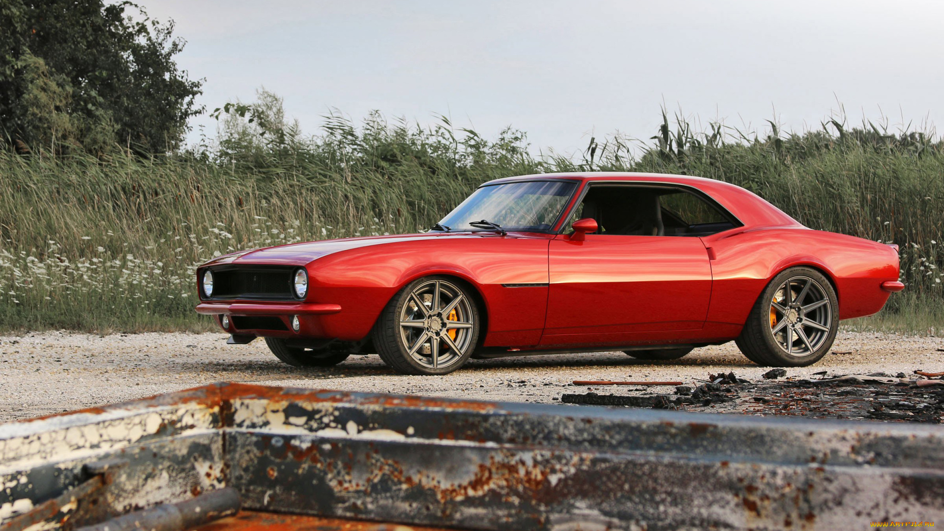 автомобили, camaro