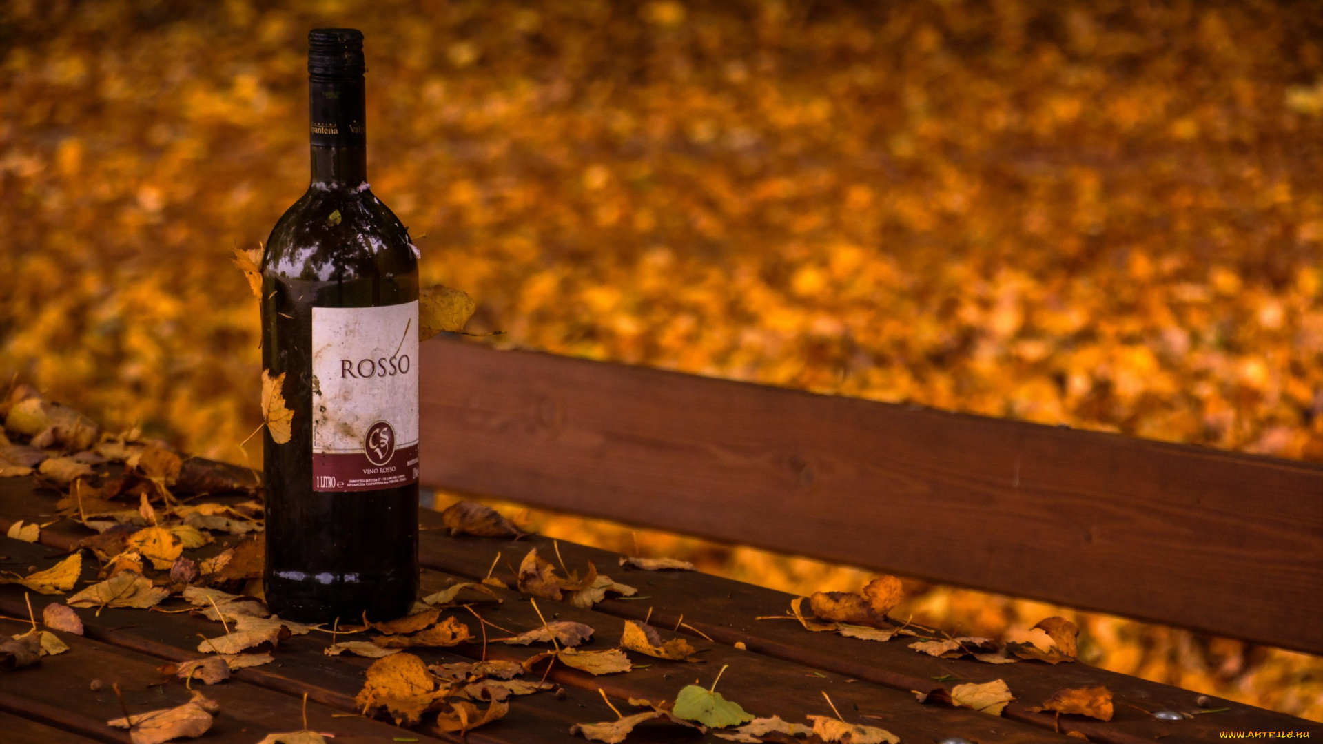 бренды, бренды, напитков, , разное, осень, вино, скамья