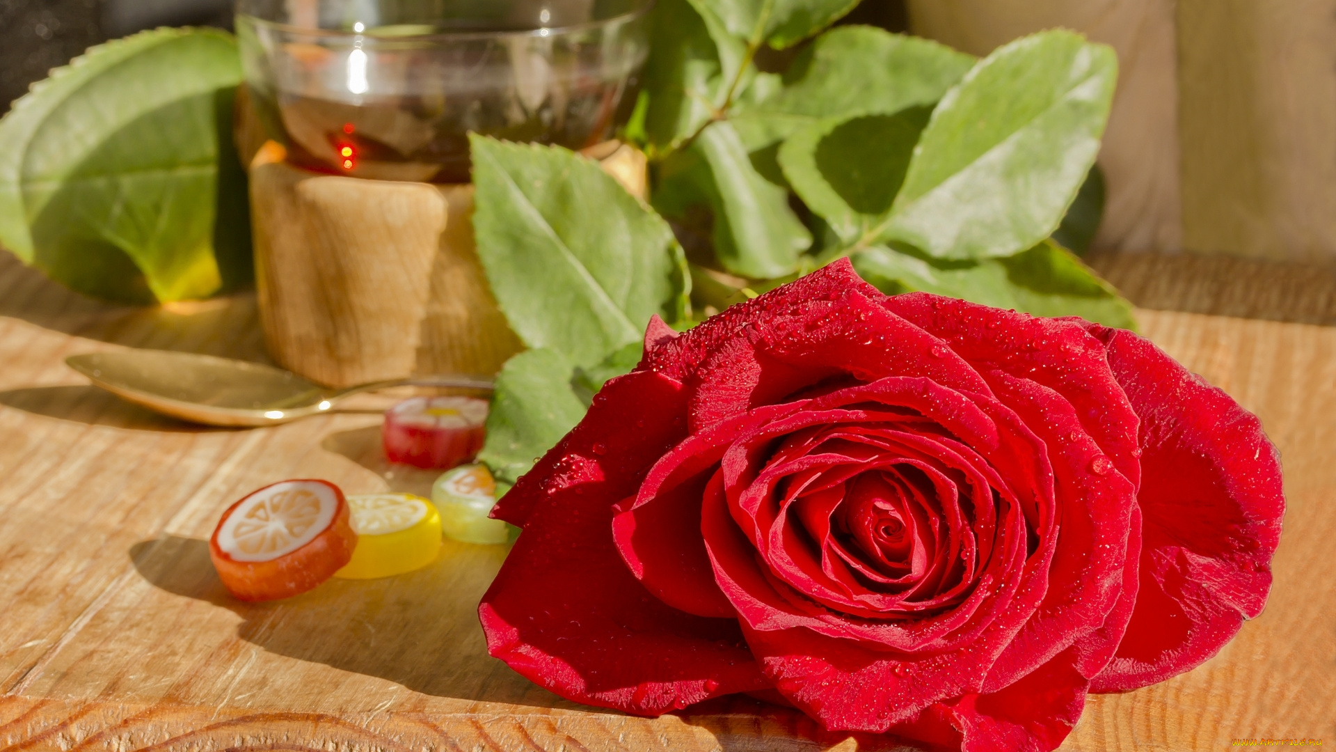 цветы, розы, роза, красная, лепестки, мармелад