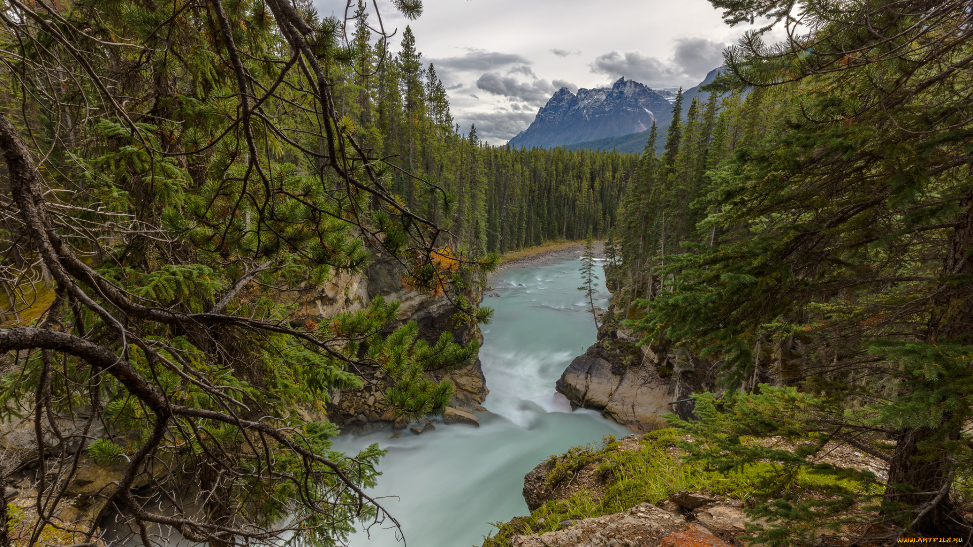 природа, реки, озера, горы, река, лес