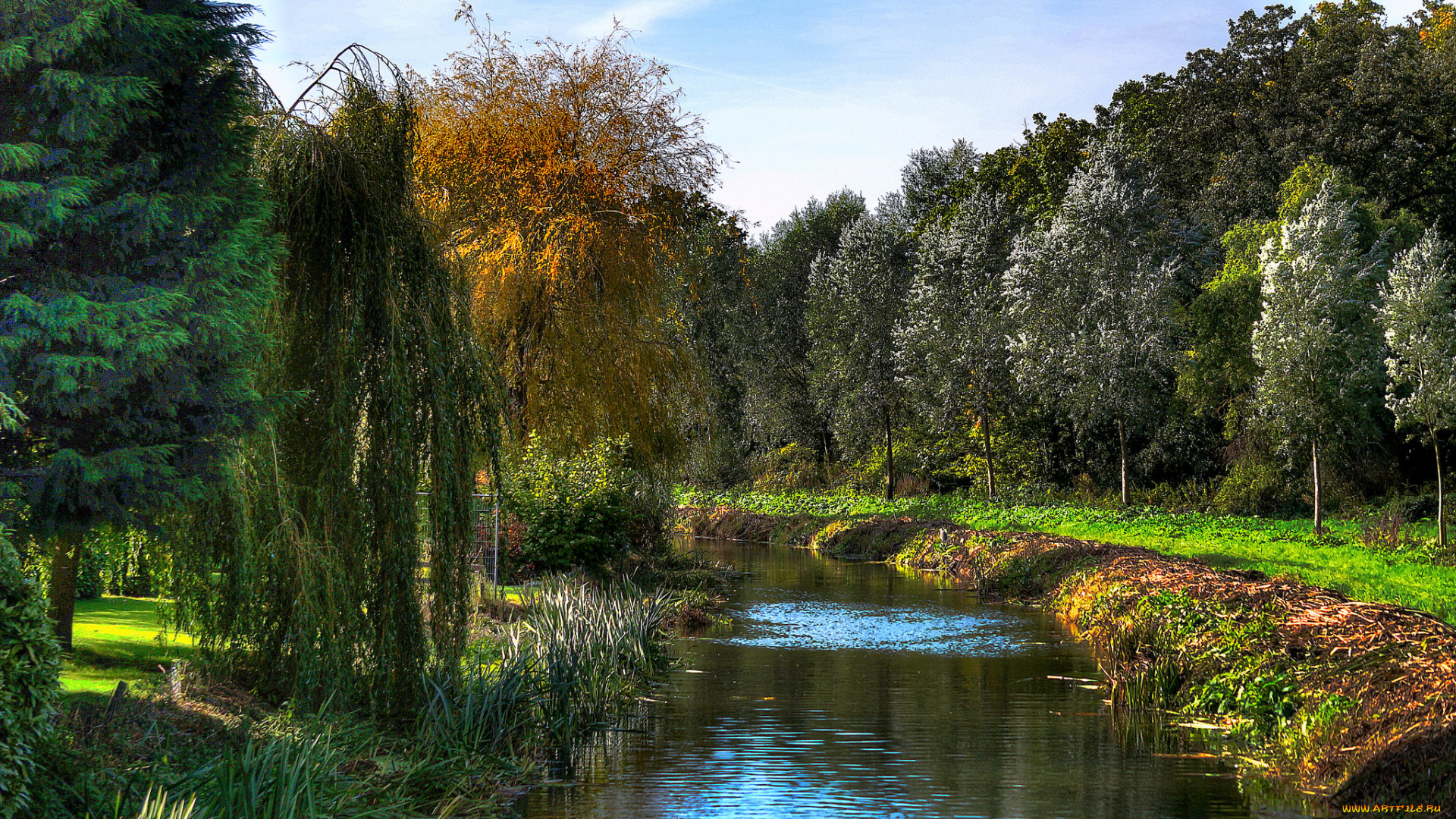 природа, реки, озера, река, лес