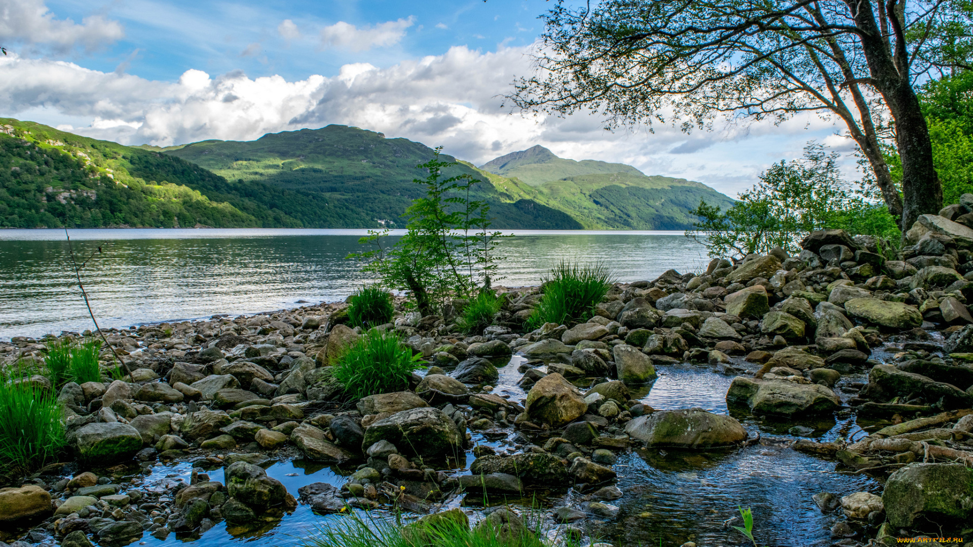 природа, реки, озера, река, лес, горы