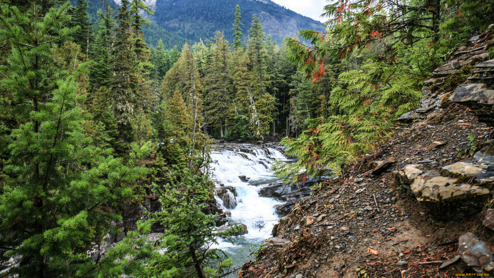 природа, реки, озера, река, лес, горы