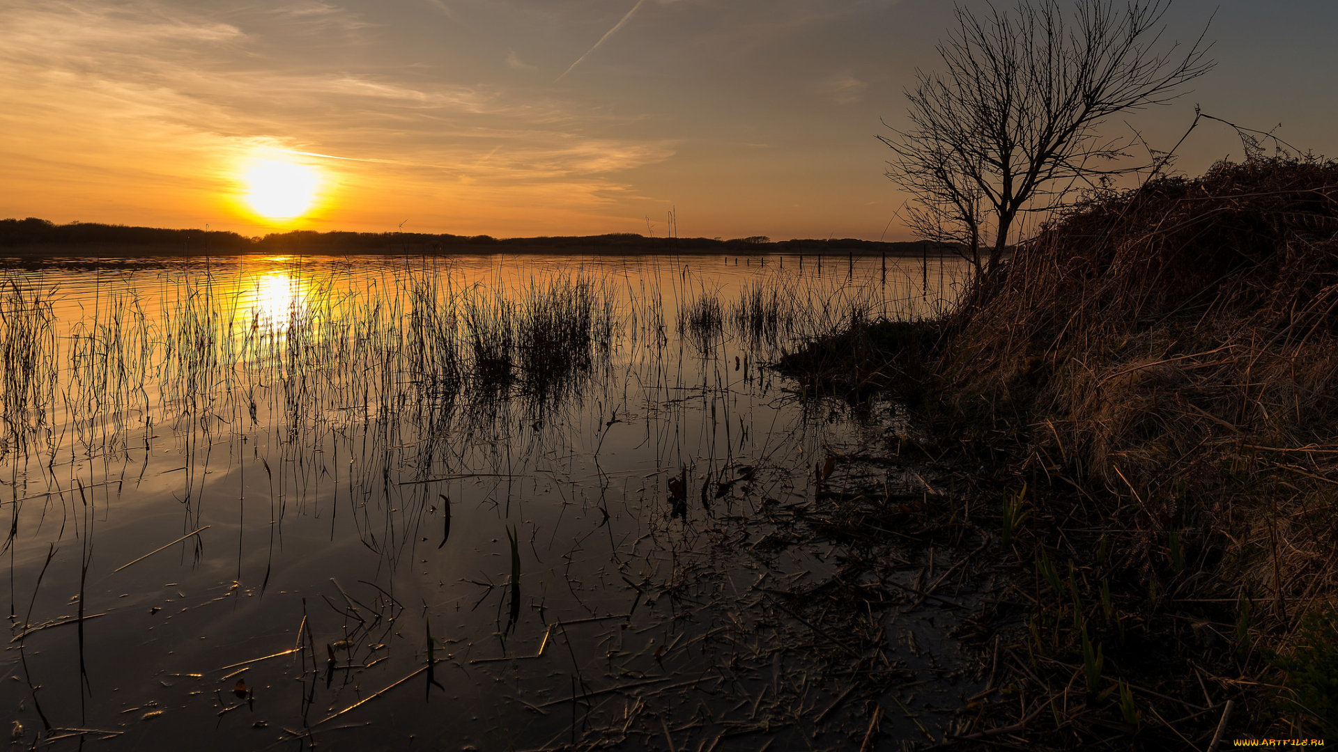 природа, восходы, закаты, закат