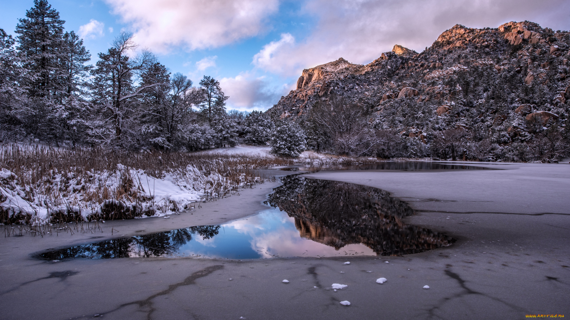 природа, зима, озеро, деревья