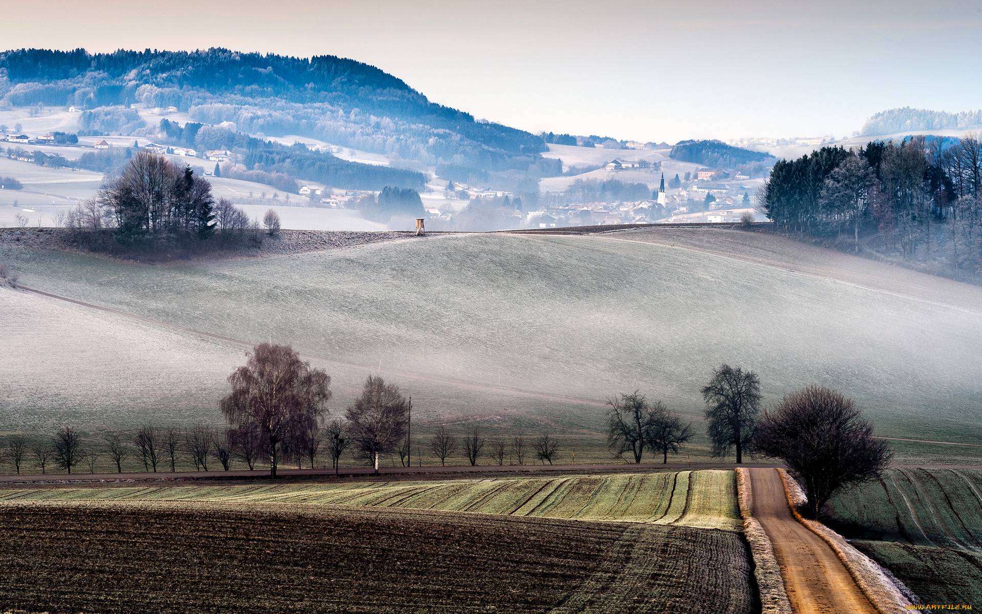 природа, пейзажи, туман, деревья, поля, италия, холмы, дома