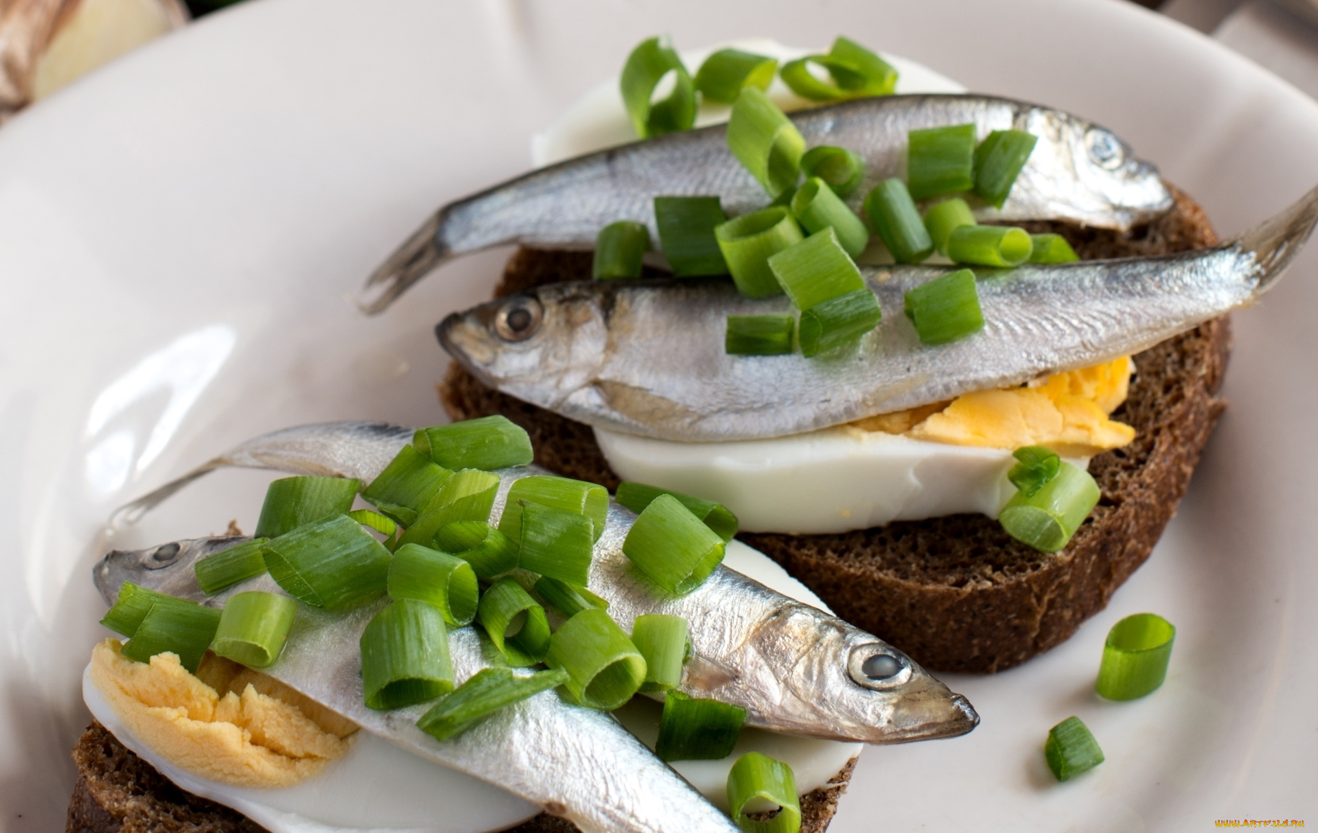 еда, бутерброды, , гамбургеры, , канапе, рыба, анчоус, бутерброд, яйцо, лук