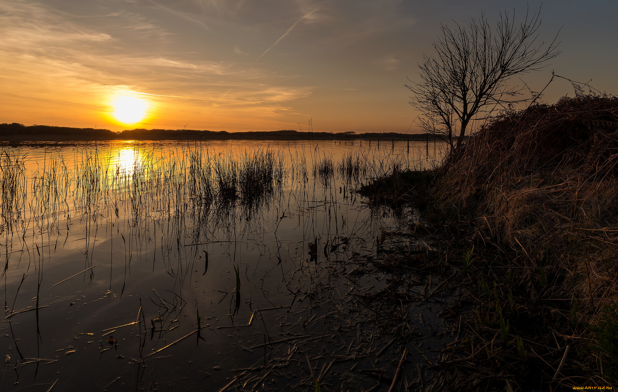 природа, восходы, закаты, закат