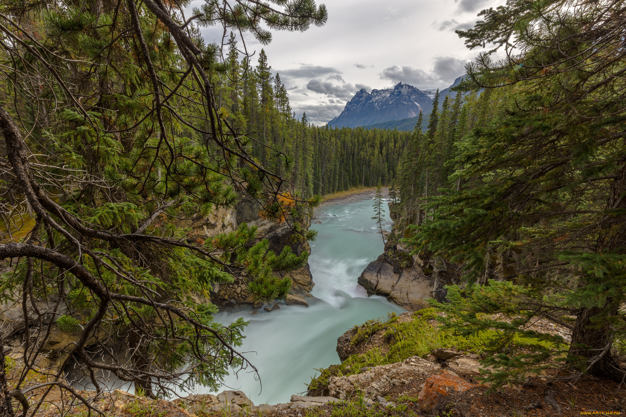 природа, реки, озера, горы, река, лес