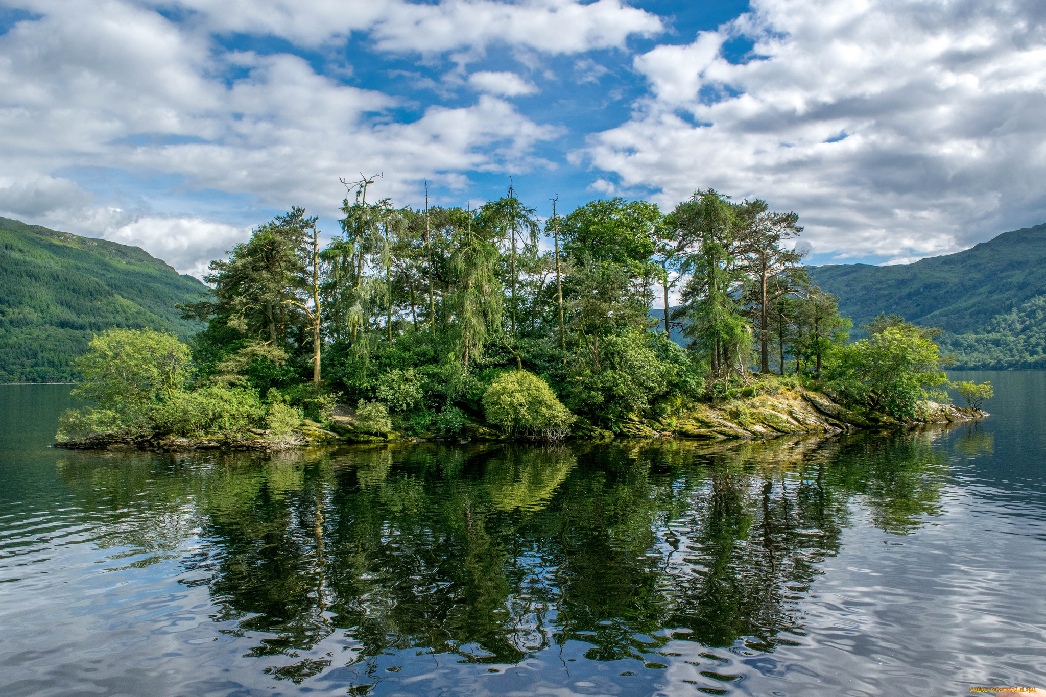 природа, реки, озера, островок, река