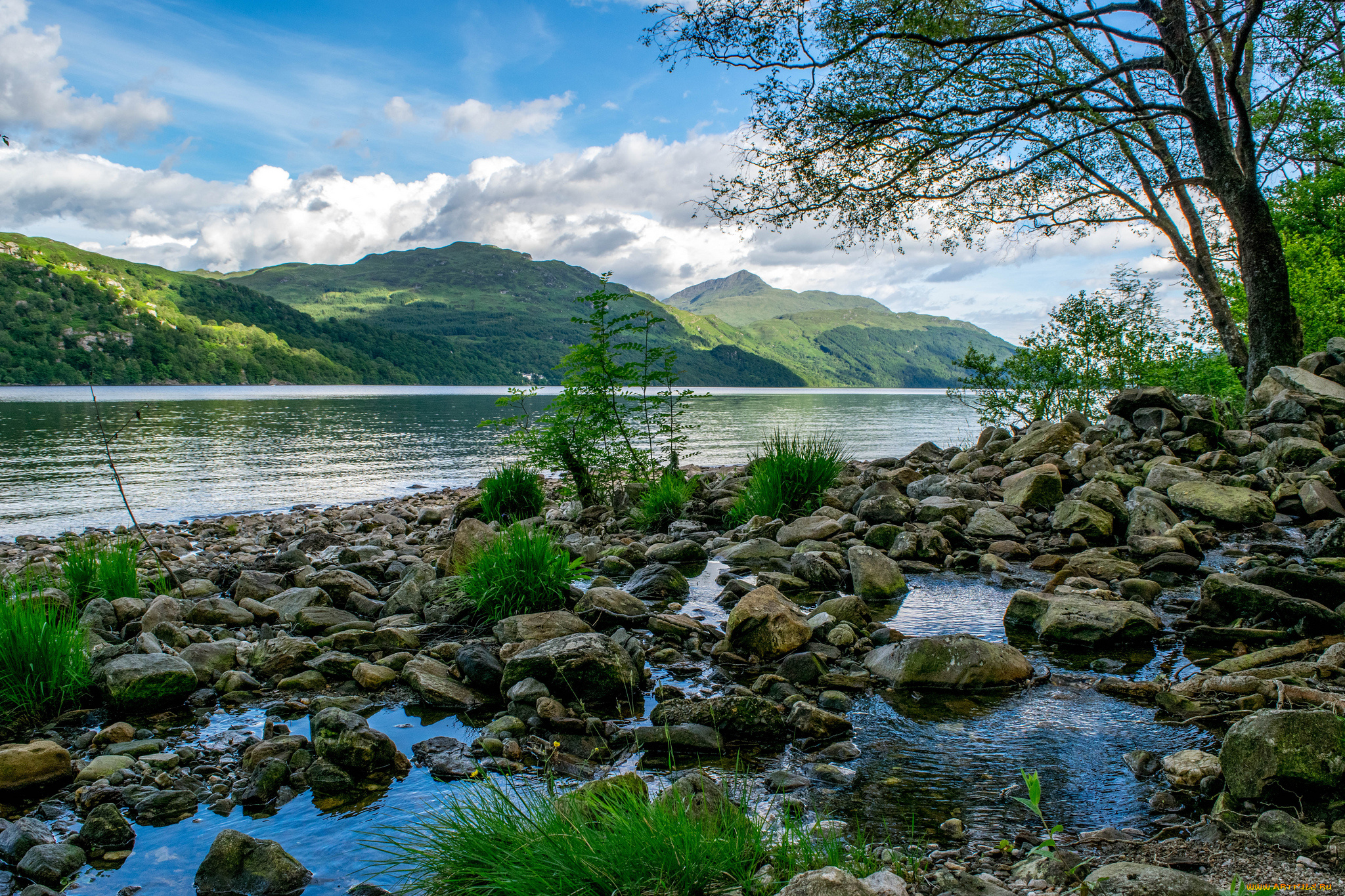 природа, реки, озера, река, лес, горы