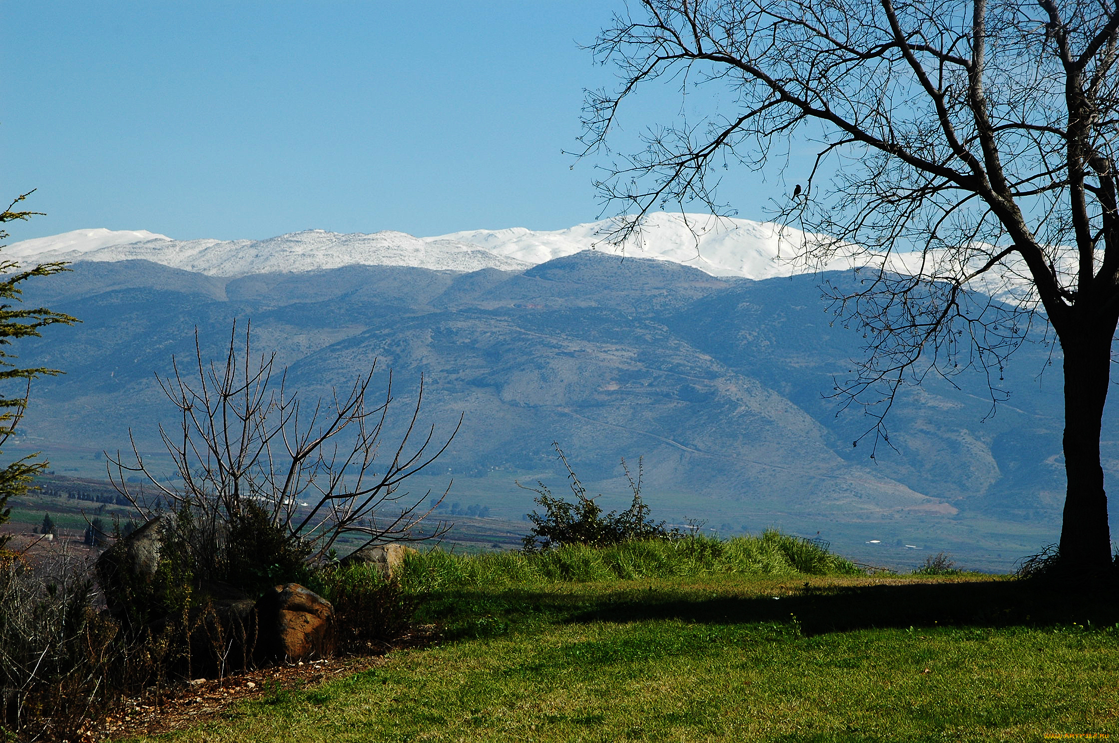 природа, горы, камень, трава, кусты, дерево, долина