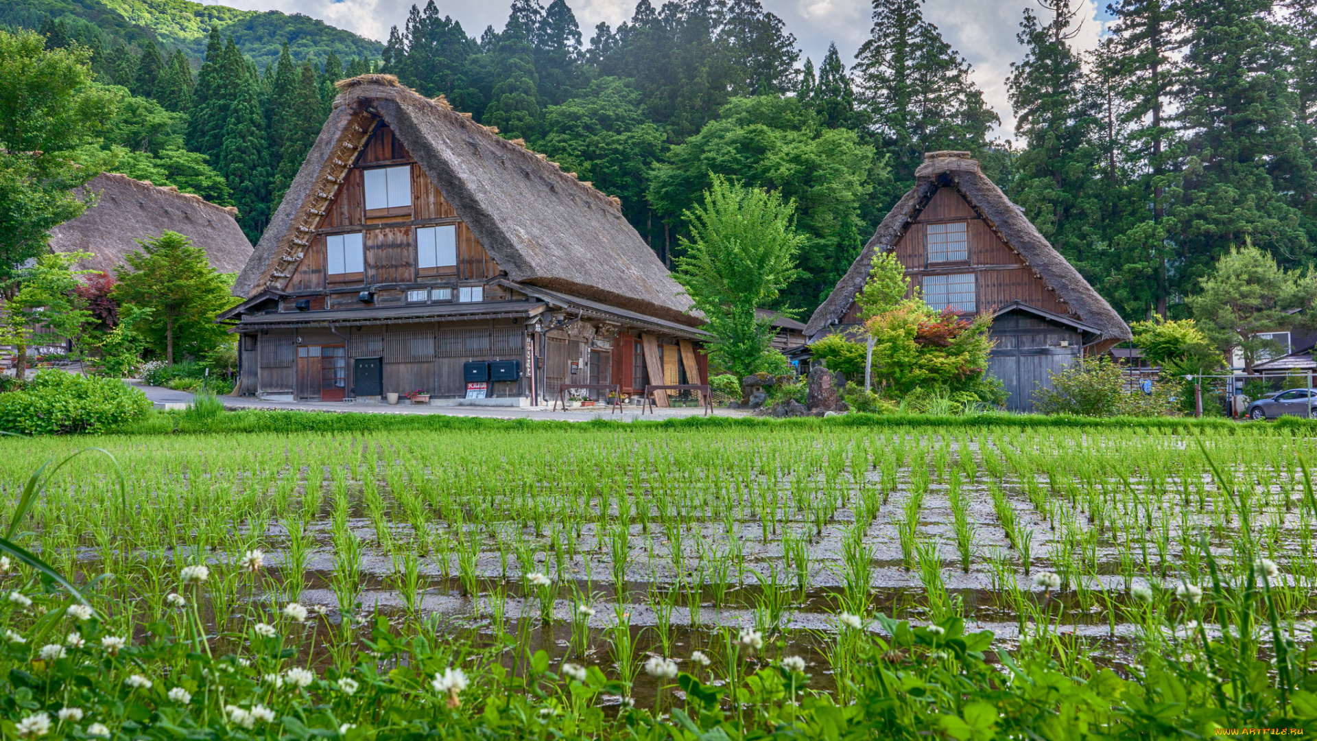 города, -, здания, , дома, японская, деревня