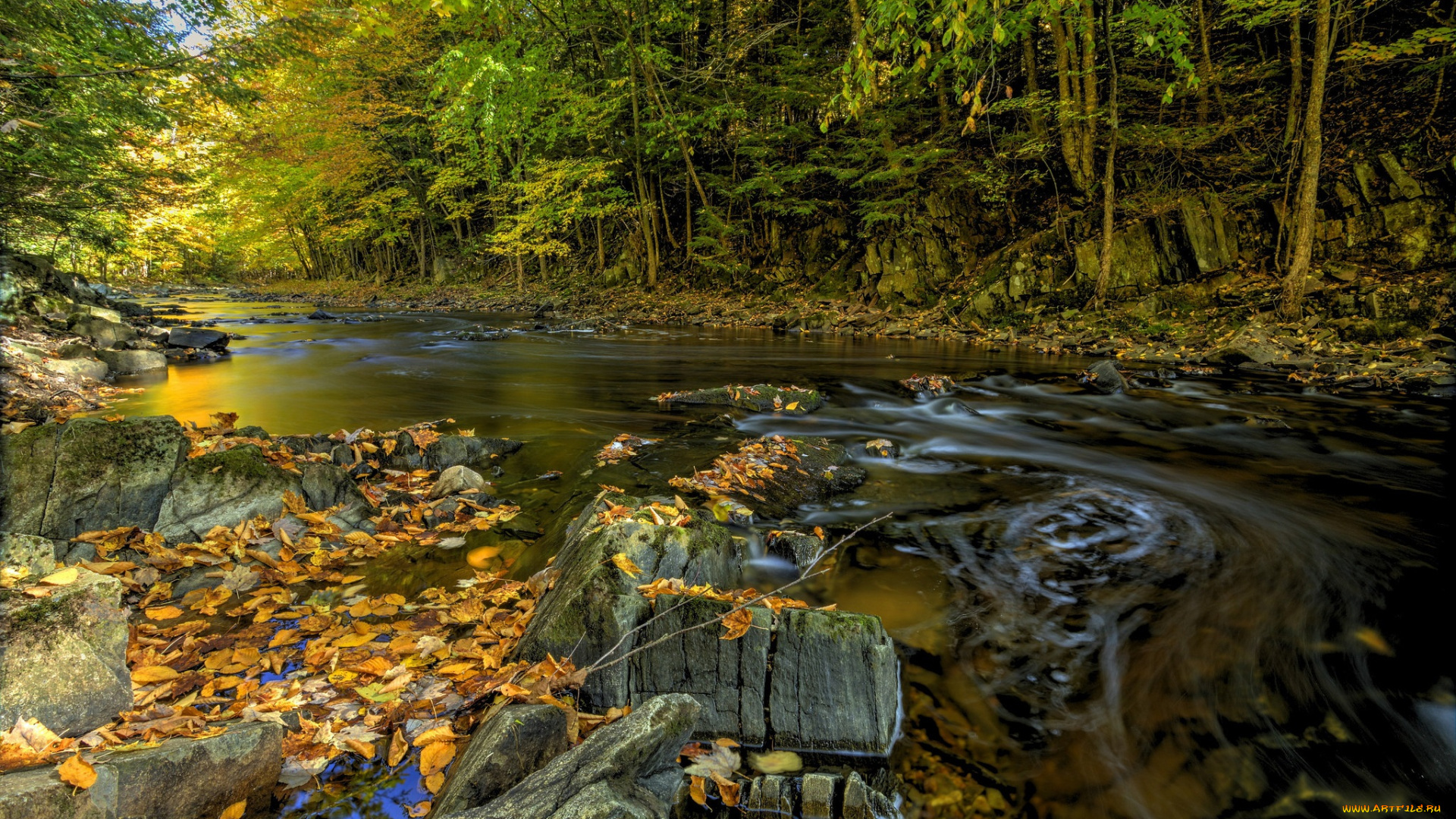 природа, реки, озера, река, лес