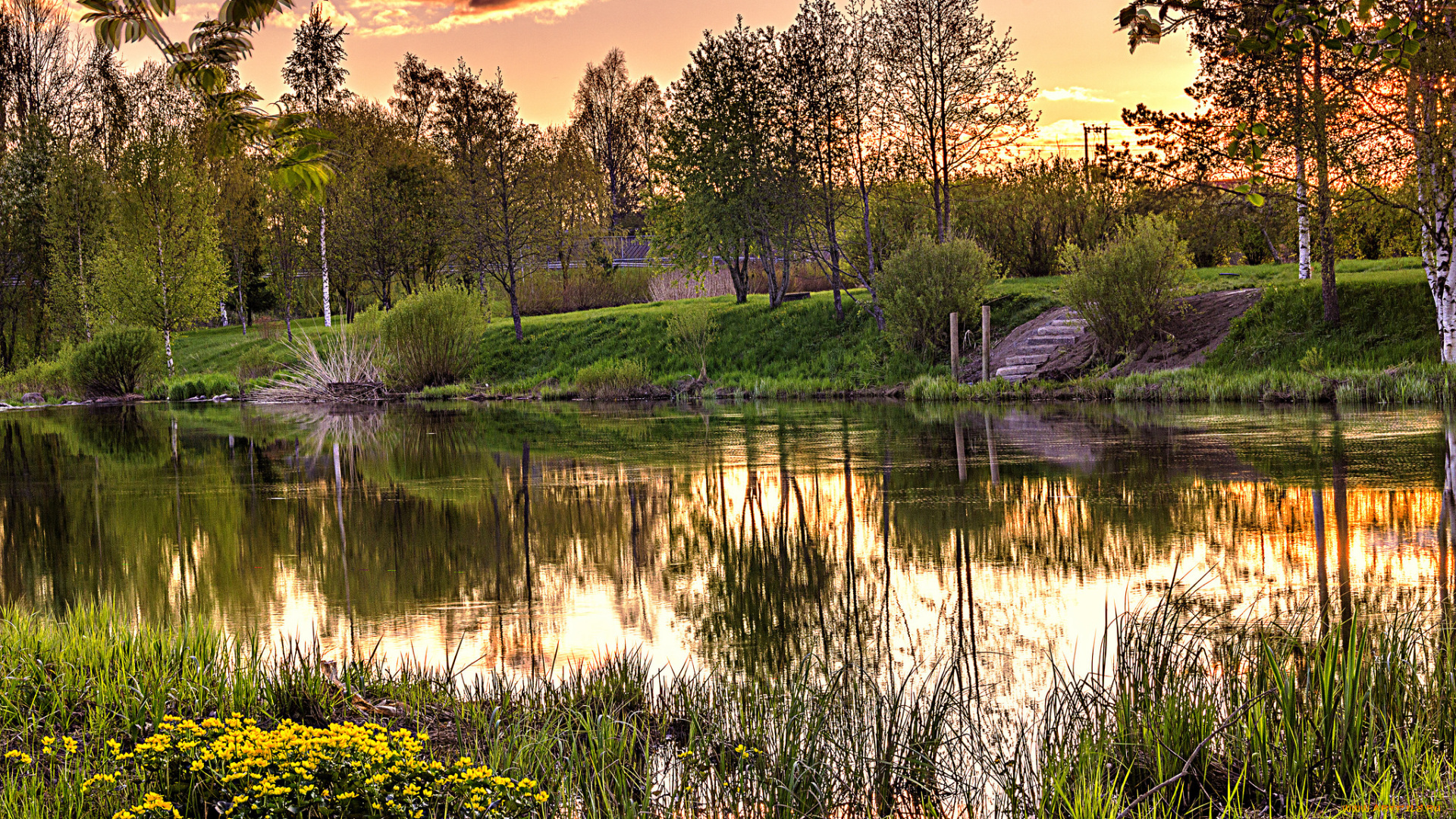 природа, реки, озера, река, лес