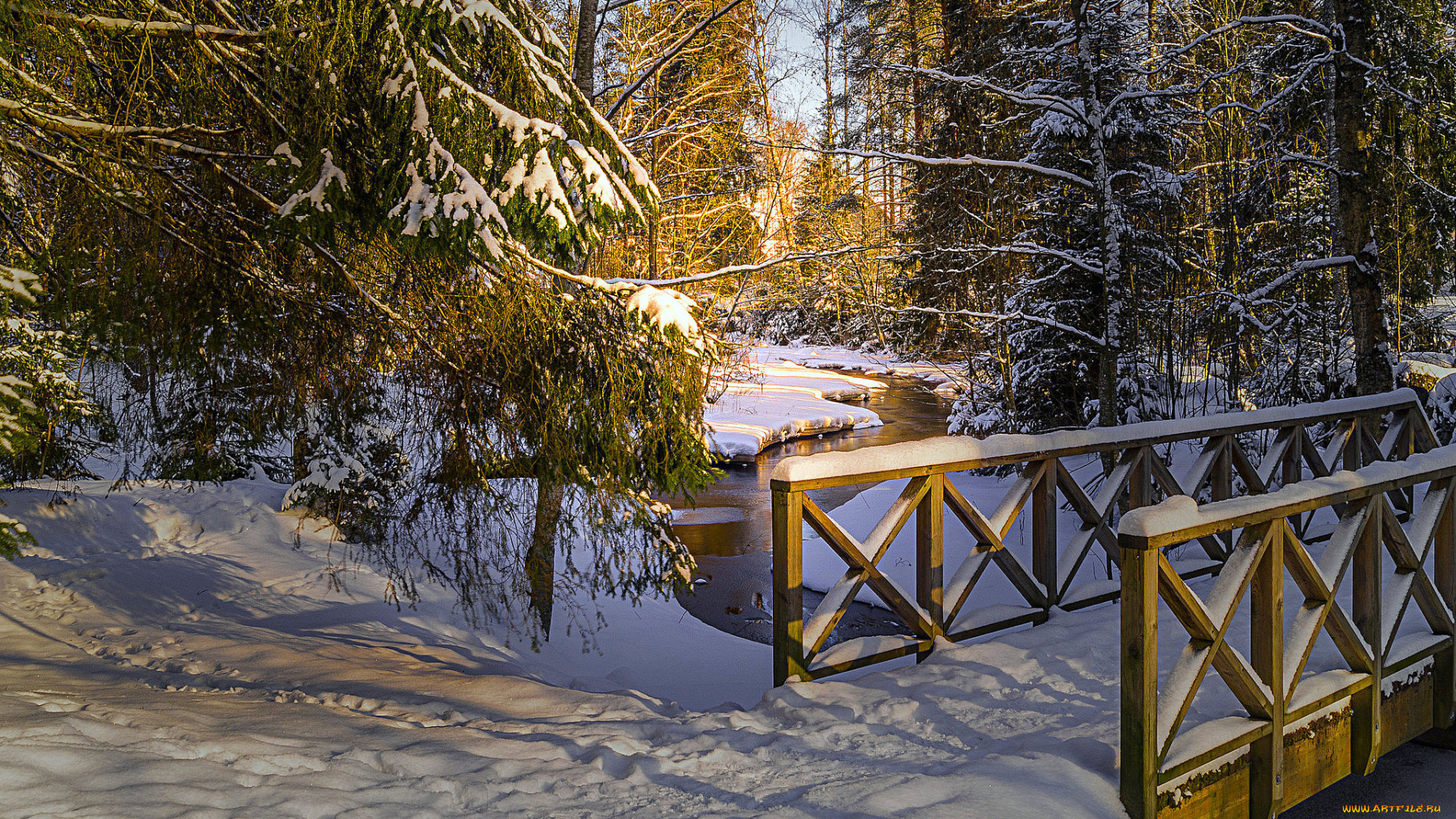 природа, зима, лес, снег