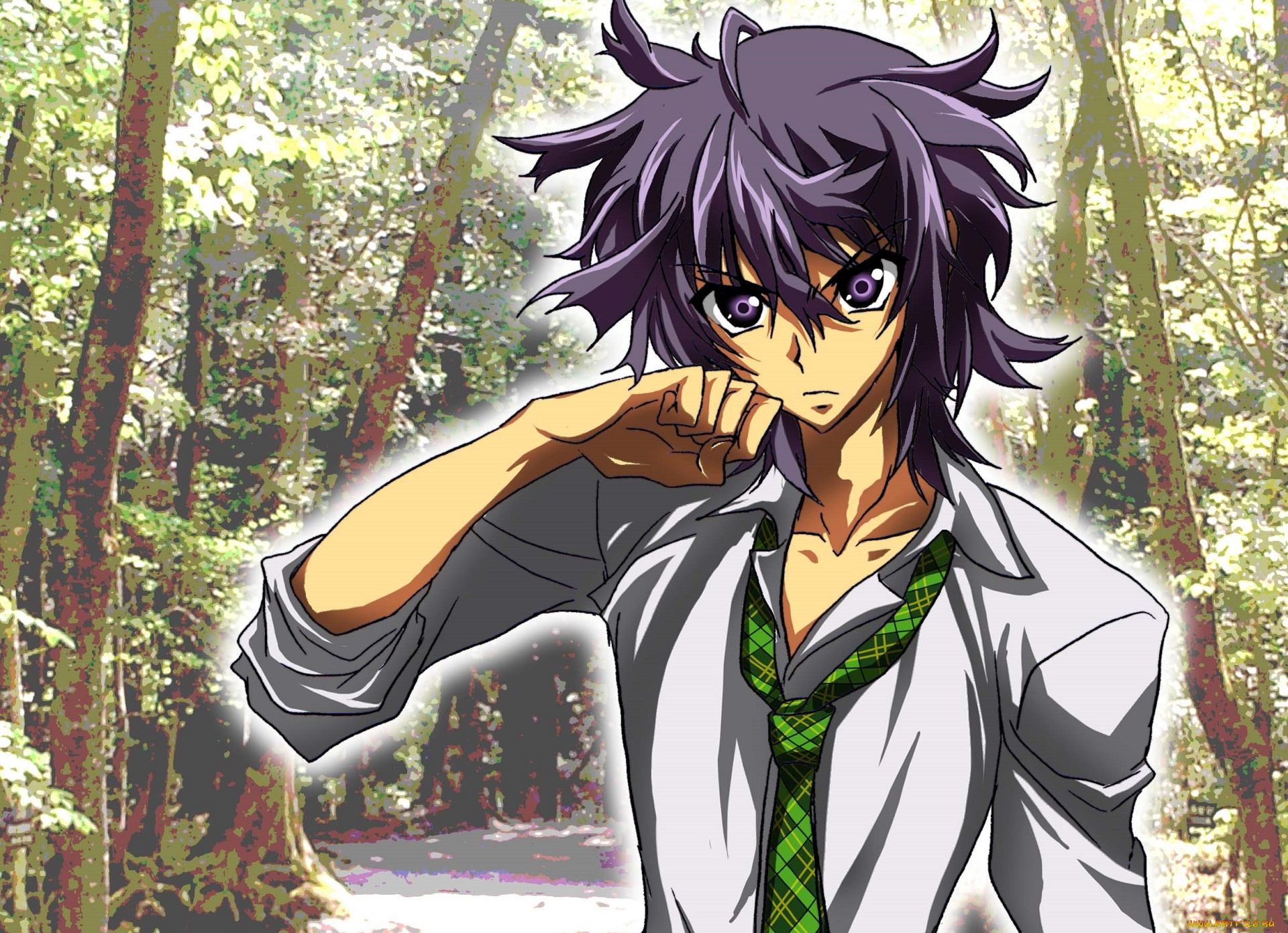 аниме, shiki, koide, natsuno