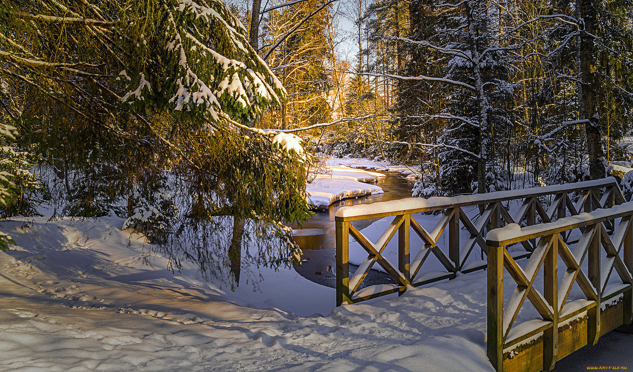 природа, зима, лес, снег