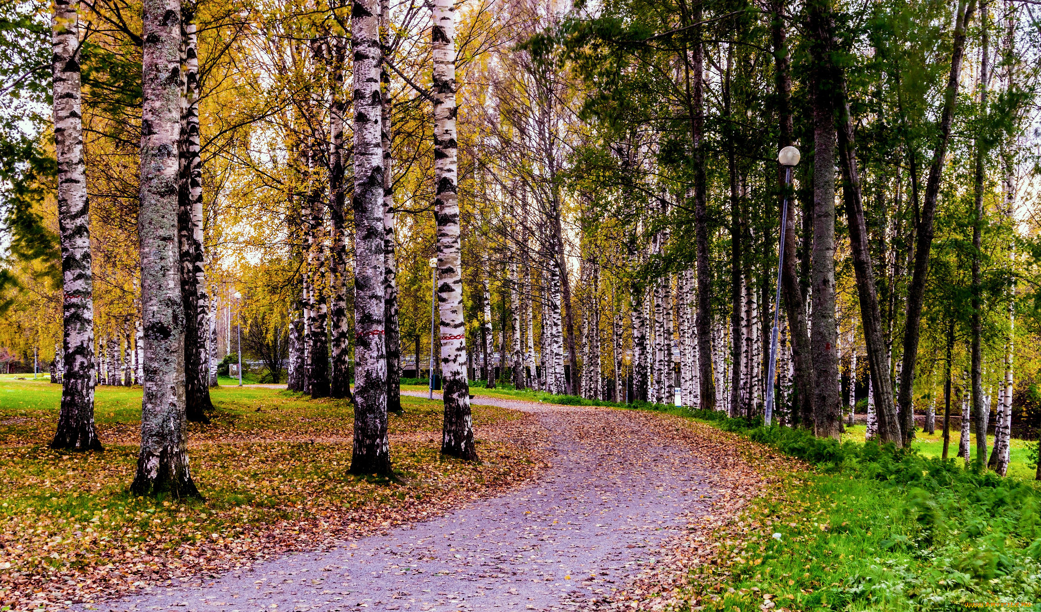 природа, дороги, тракт