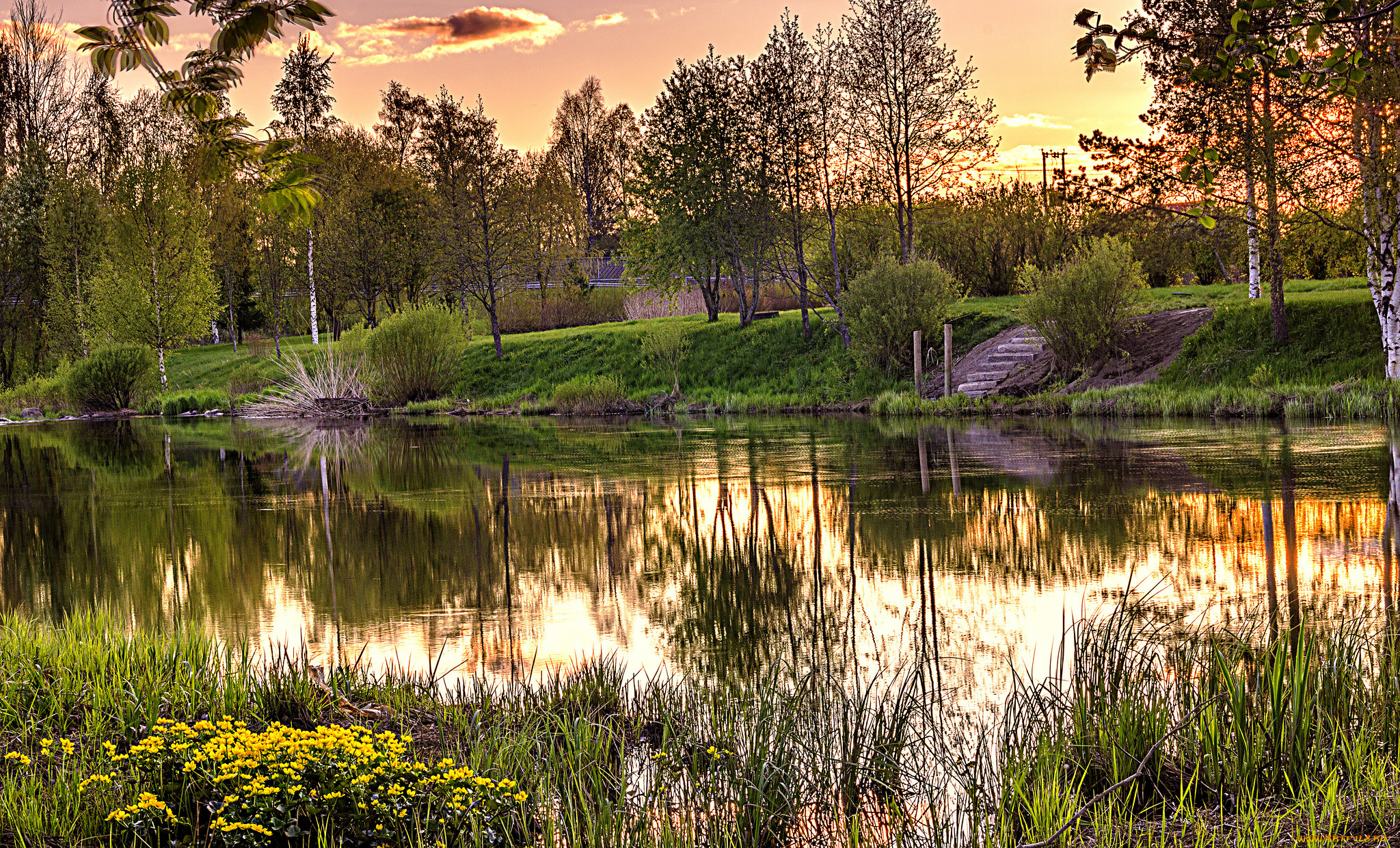 природа, реки, озера, река, лес