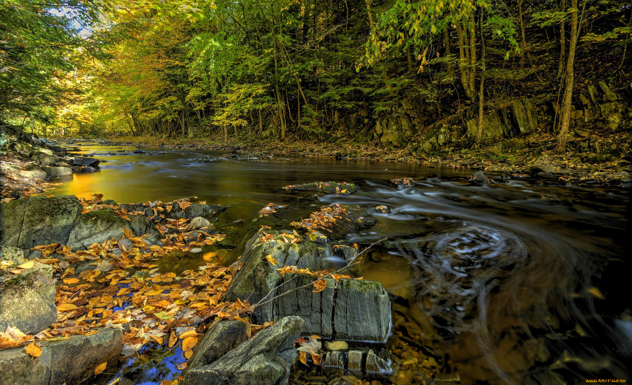 природа, реки, озера, река, лес