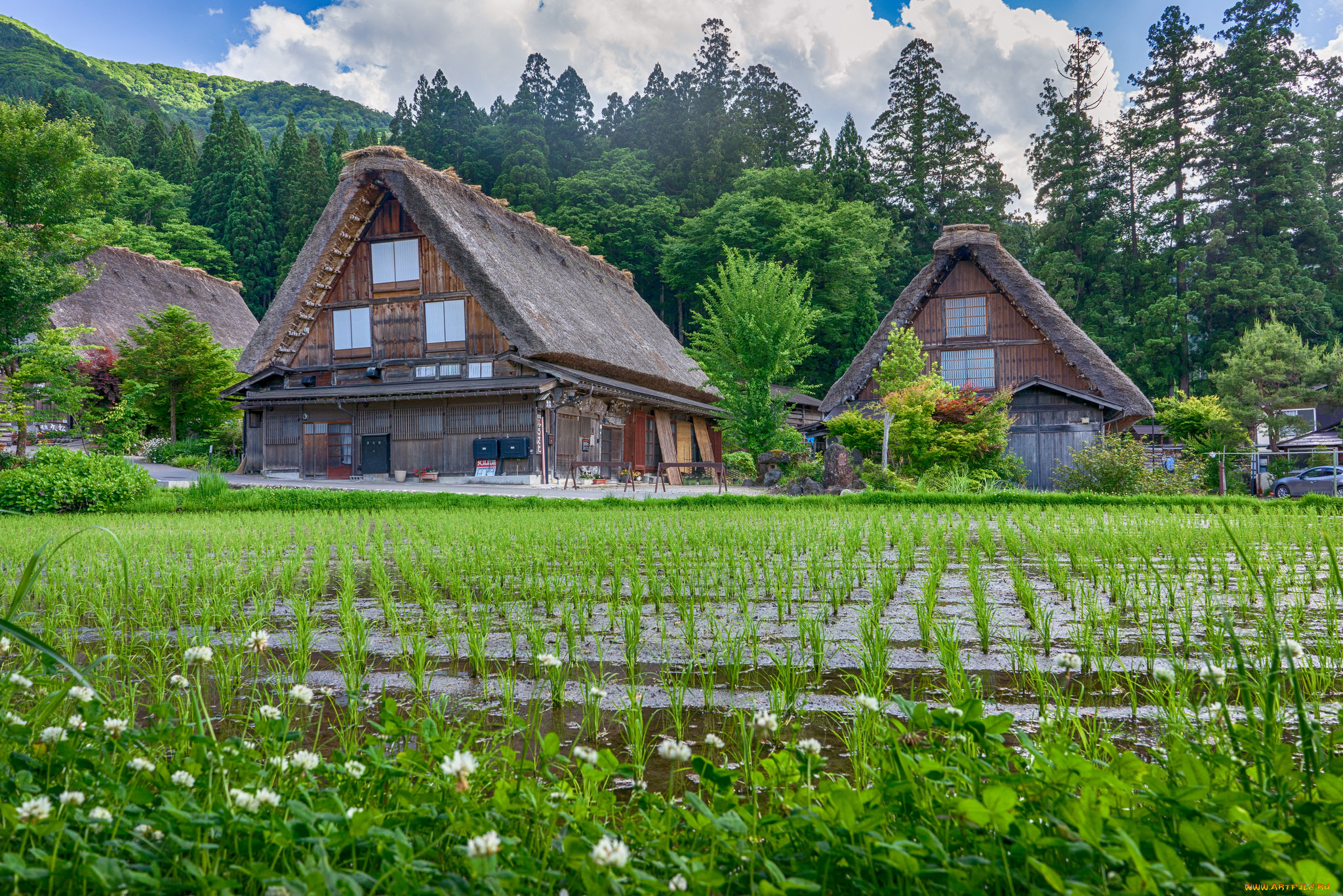 города, -, здания, , дома, японская, деревня
