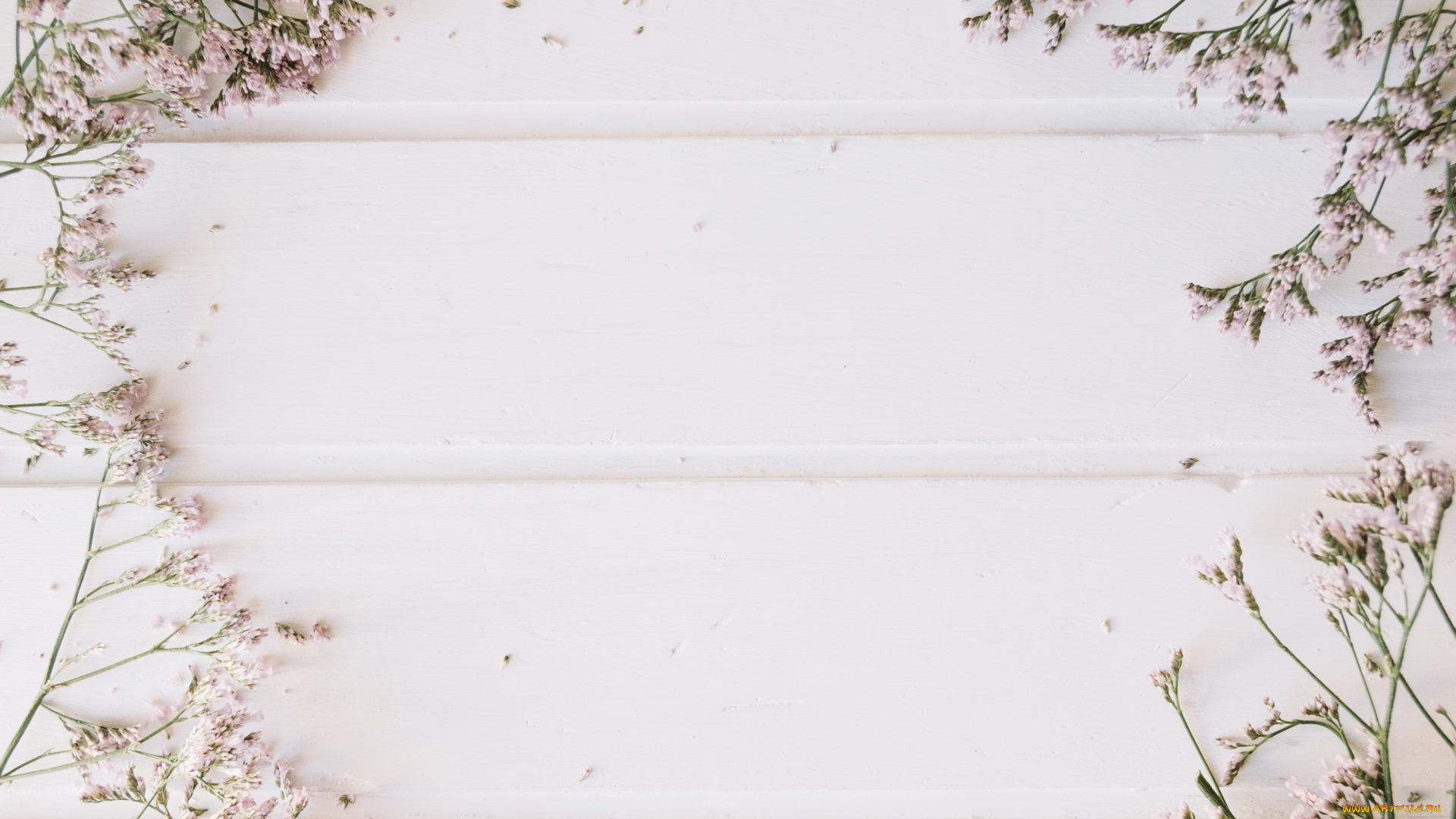 цветы, веточки, фон