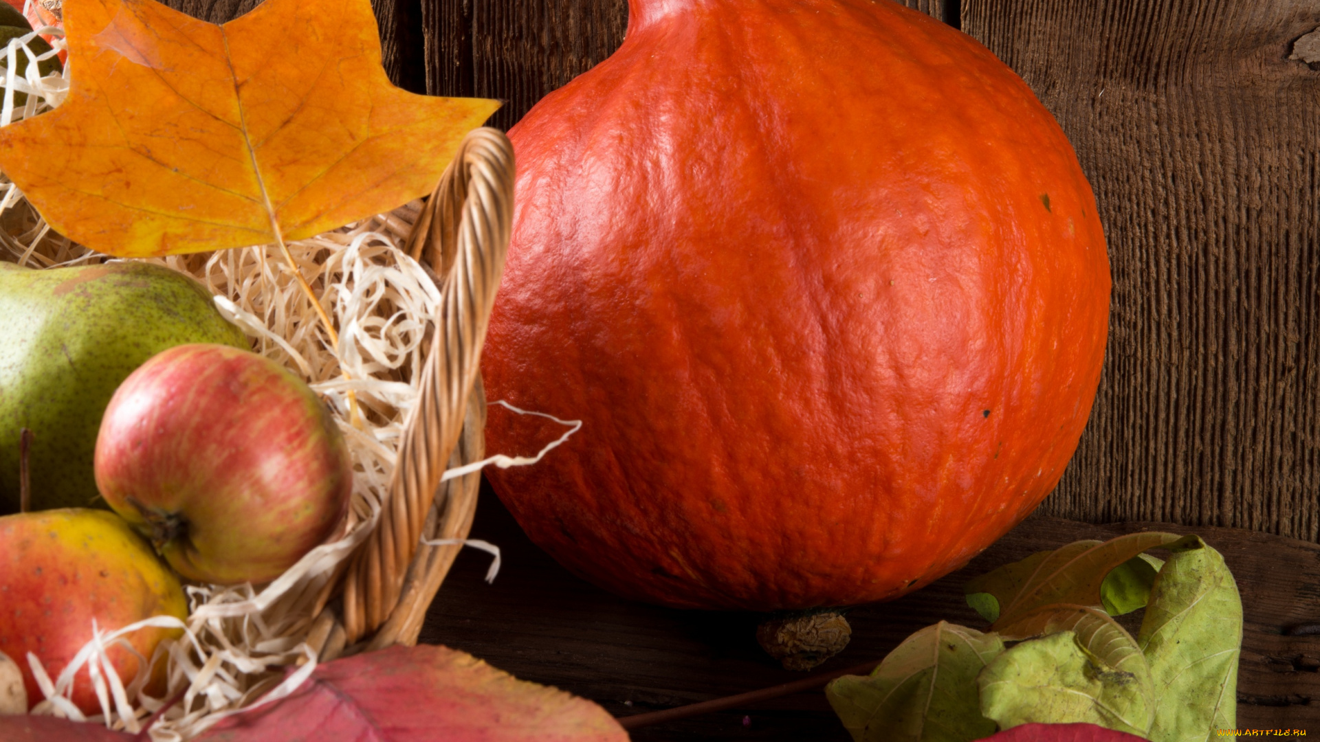 еда, фрукты, и, овощи, вместе, дары, осени, корзинка, груши, тыква