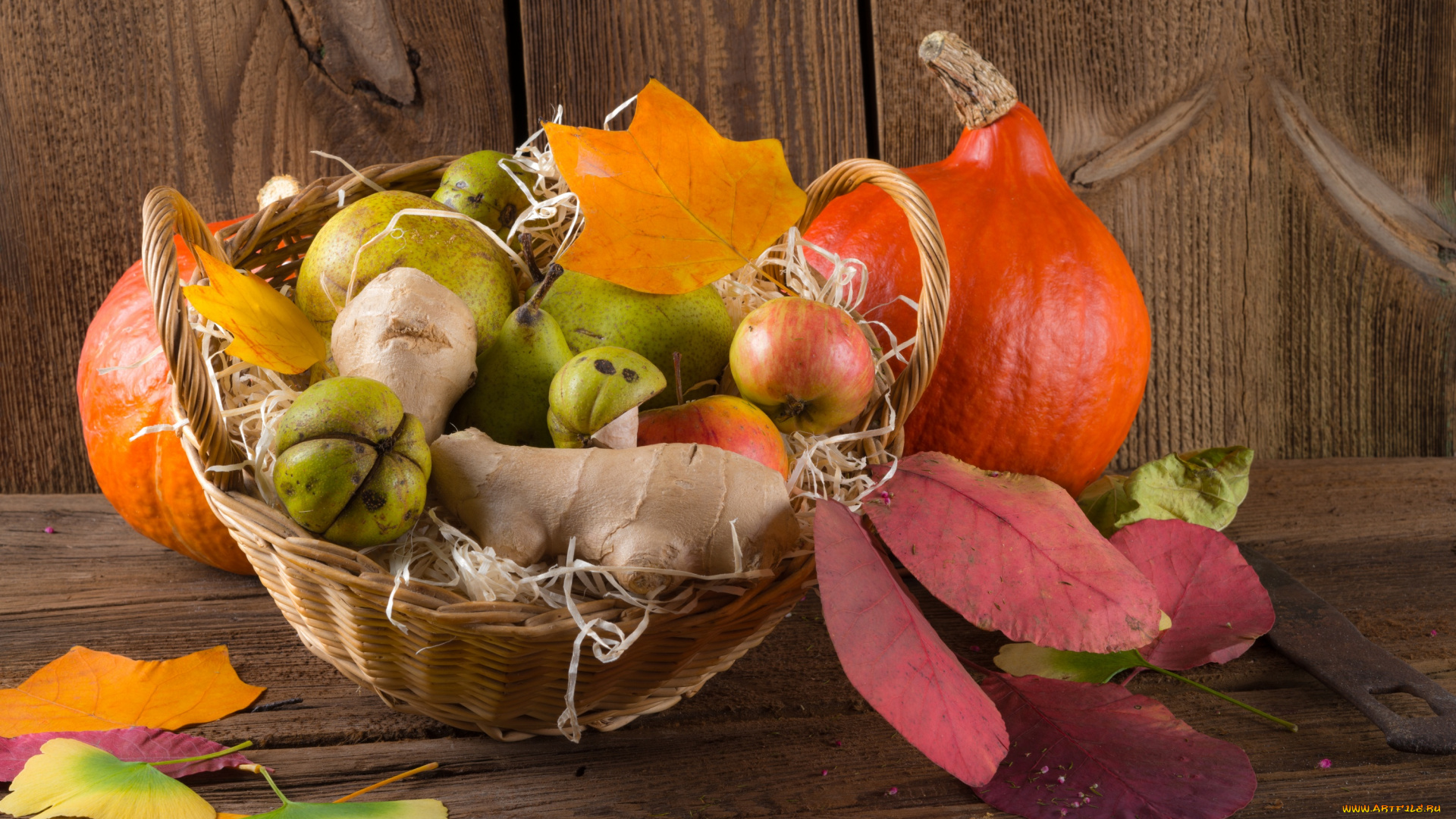 еда, фрукты, и, овощи, вместе, фрукты, дары, осени, груши, корзина, яблоки, листья