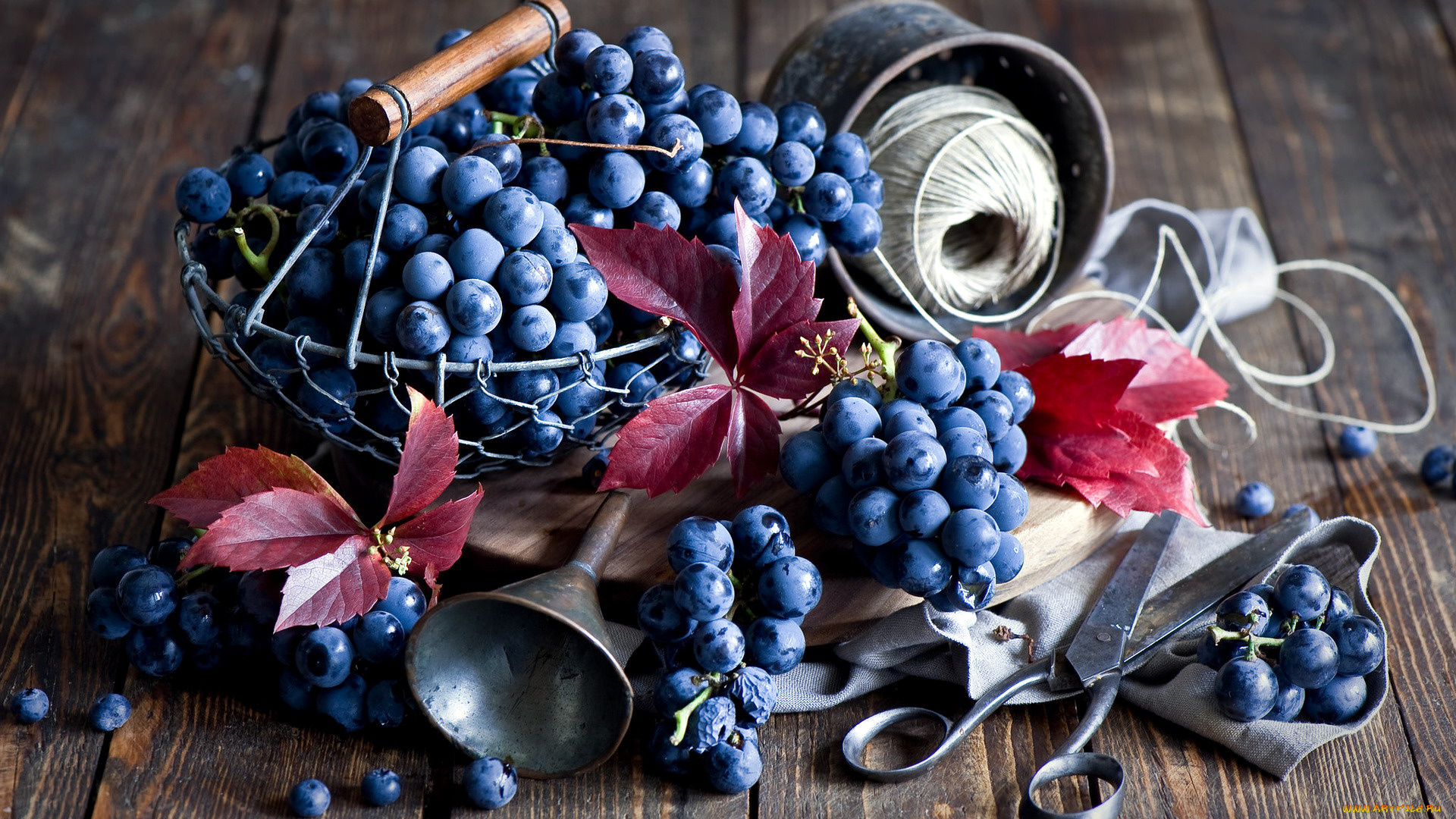 еда, виноград, листья, ягоды, ножницы