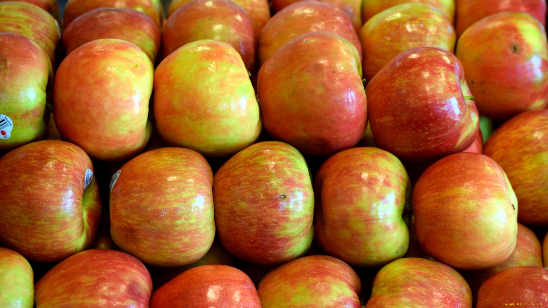 еда, Яблоки, много, яблоки