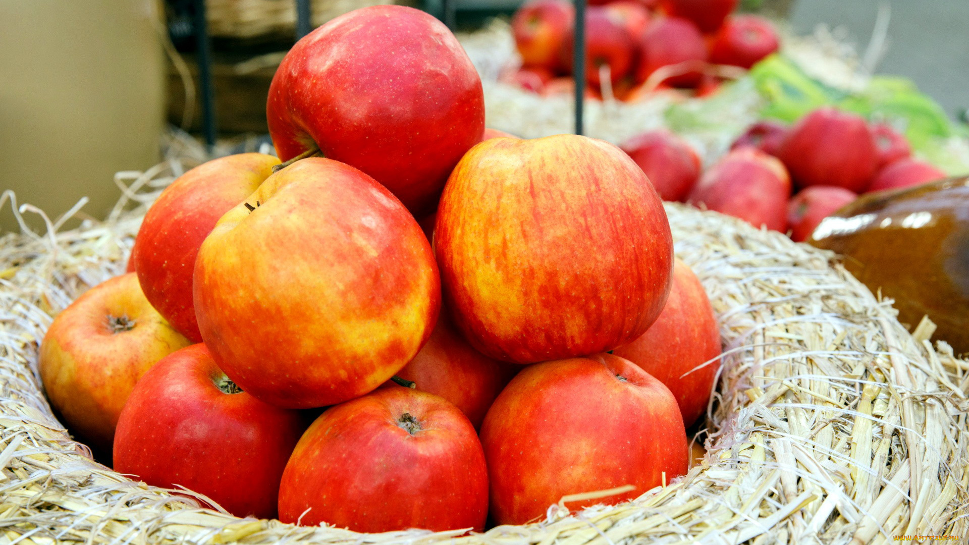 еда, Яблоки, яблоки