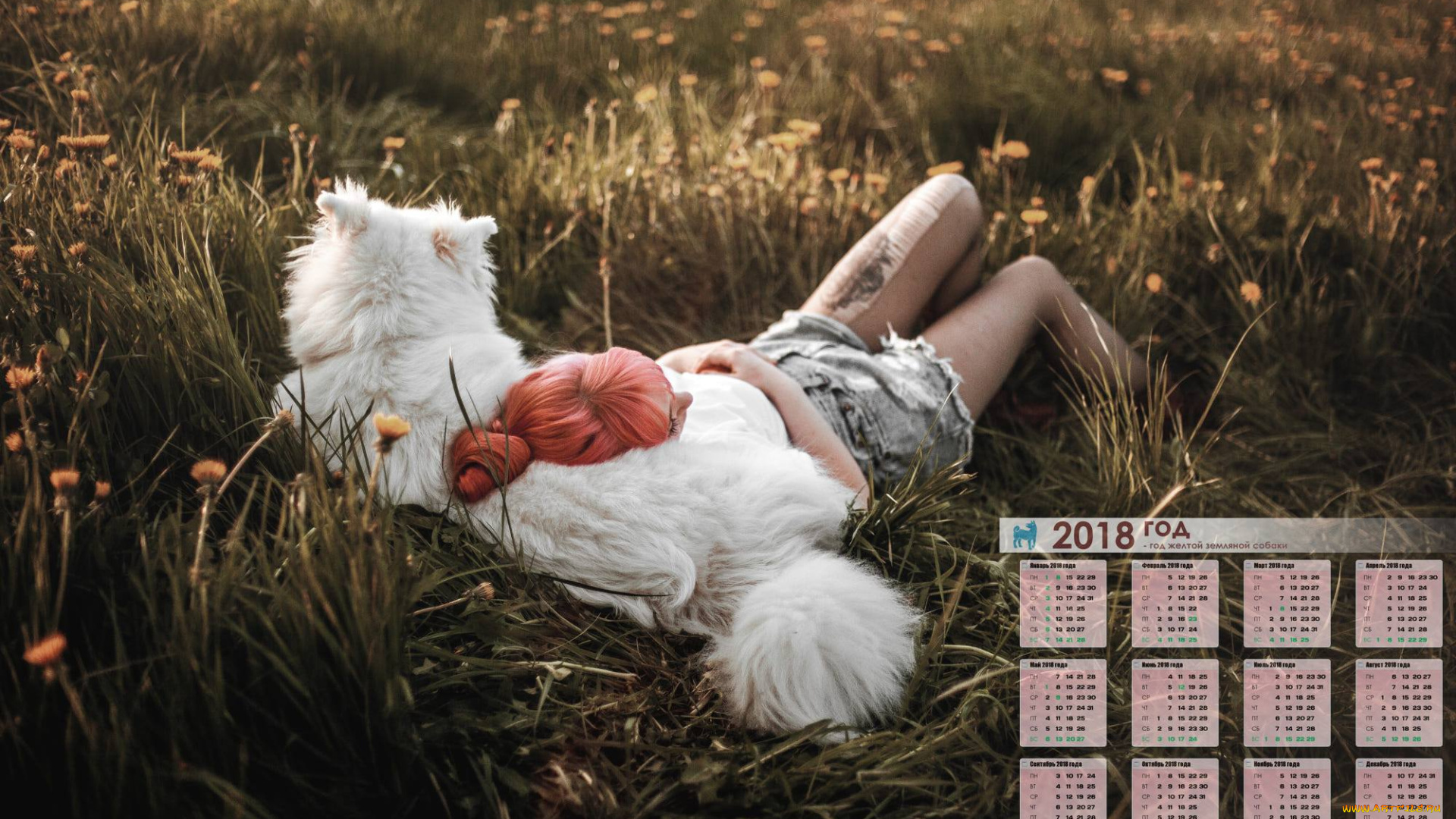 календари, девушки, растения, собака