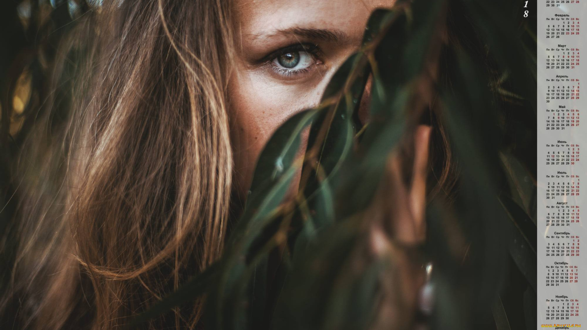 календари, девушки, ветка, лицо, взгляд