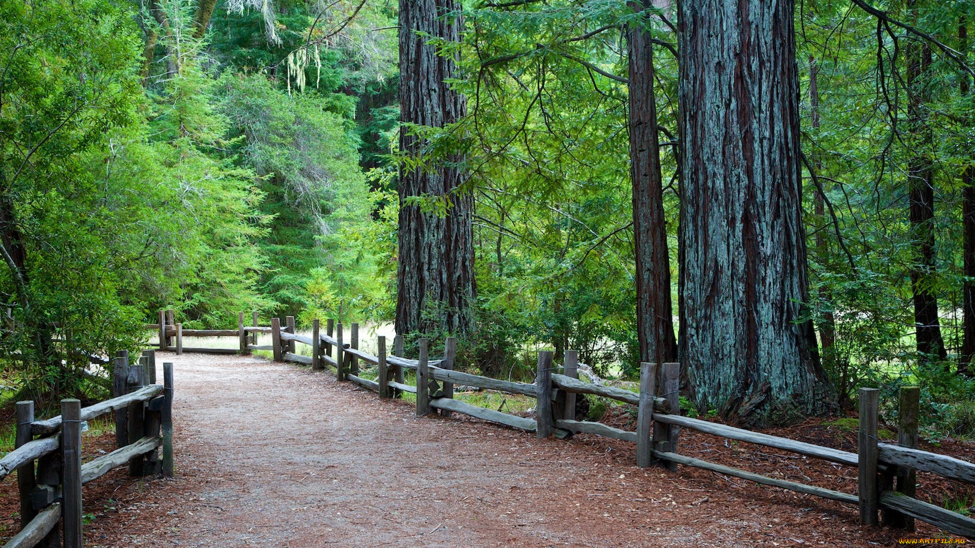 природа, дороги, простор