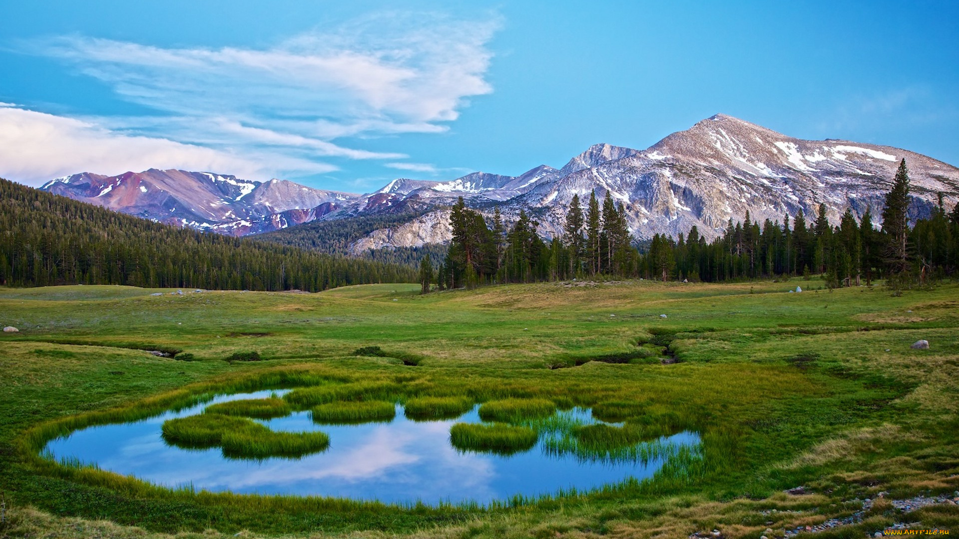 природа, пейзажи, простор