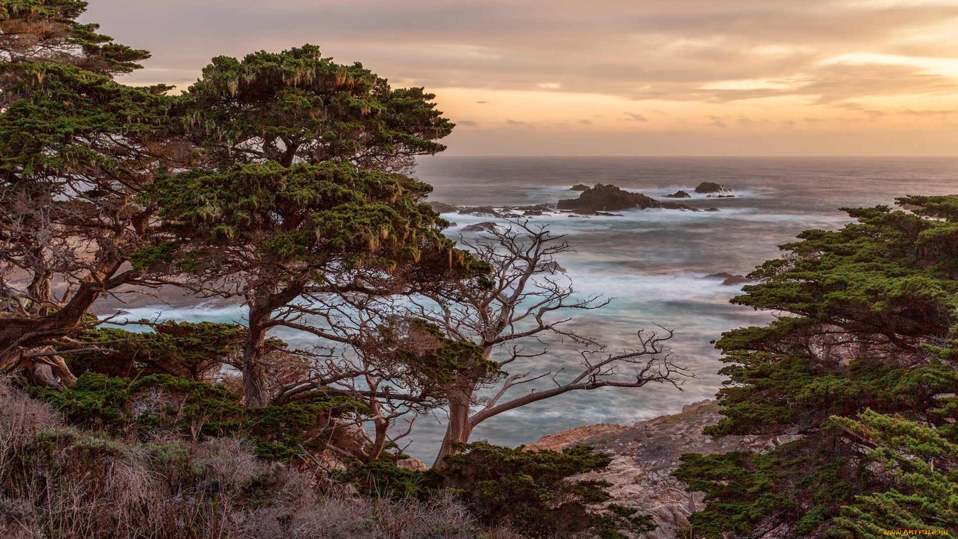 природа, побережье, простор